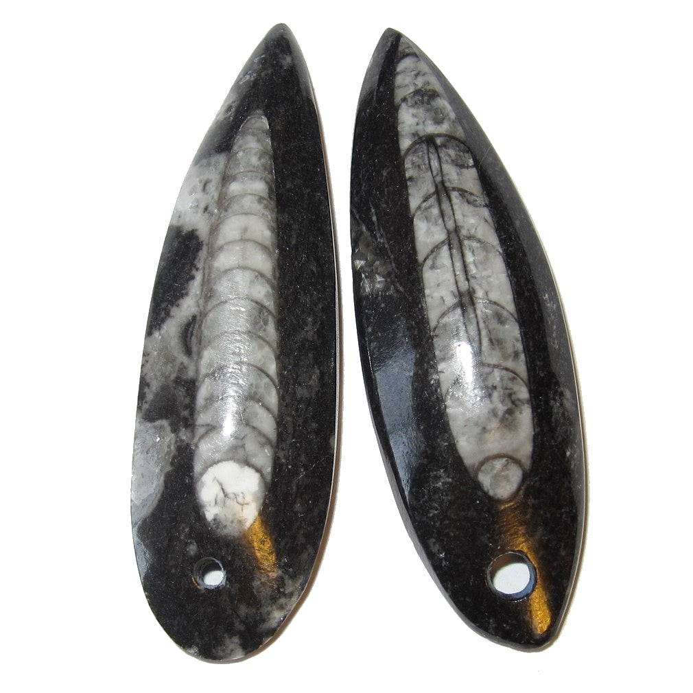 Amulette Fossile Paires de Mini Pendentifs Baguettes pour les Voyages dans les Vies Antérieures