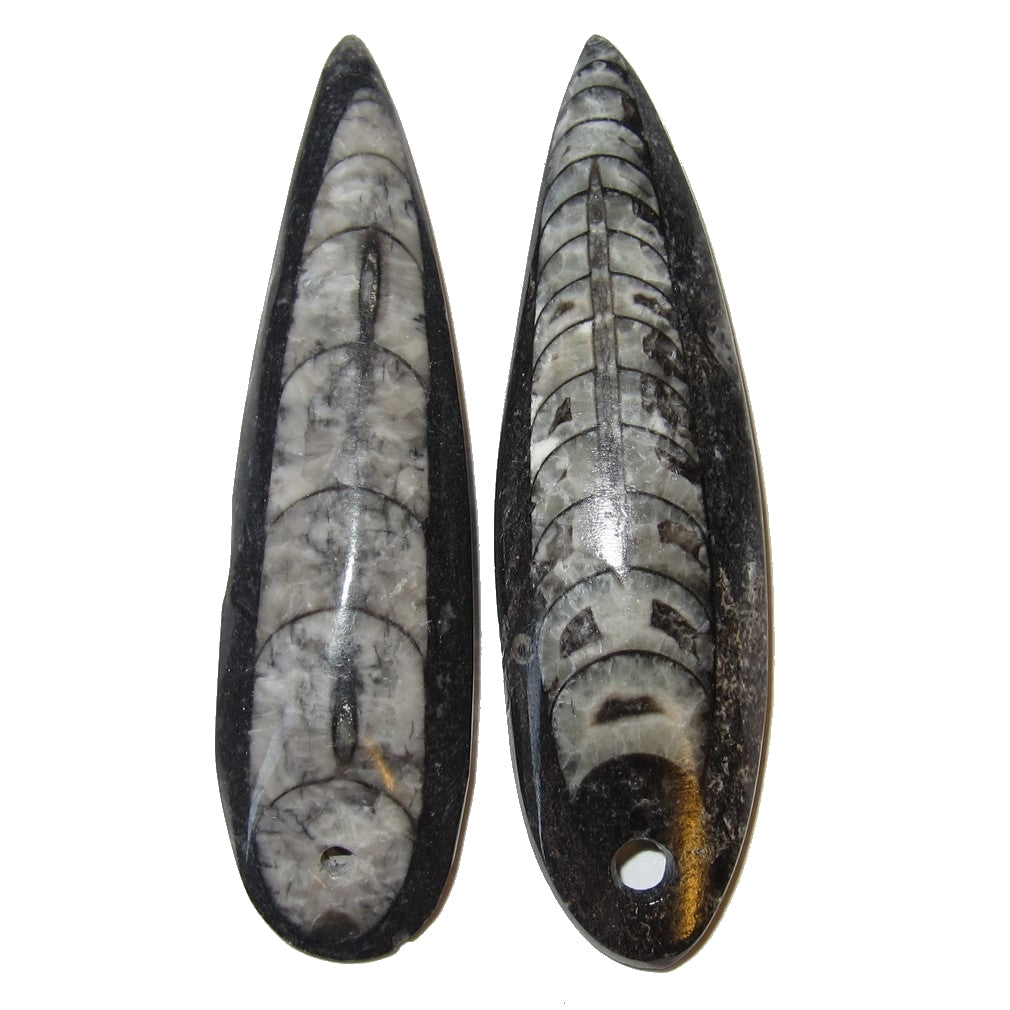 Amulette Fossile Paires de Mini Pendentifs Baguettes pour les Voyages dans les Vies Antérieures