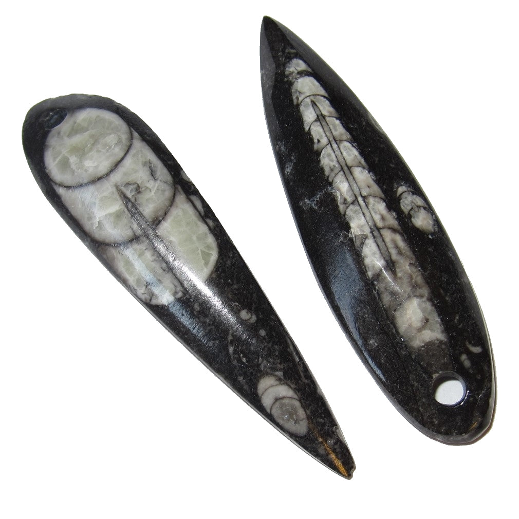Amulette Fossile Paires de Mini Pendentifs Baguettes pour les Voyages dans les Vies Antérieures