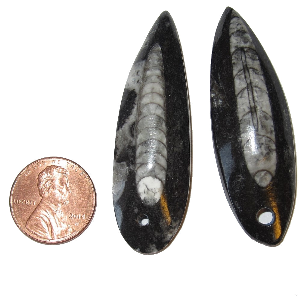 Amulette Fossile Paires de Mini Pendentifs Baguettes pour les Voyages dans les Vies Antérieures