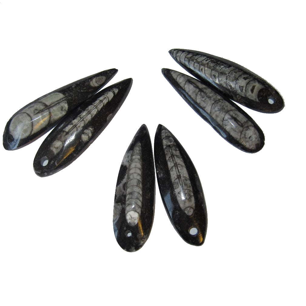 Amulette Fossile Paires de Mini Pendentifs Baguettes pour les Voyages dans les Vies Antérieures