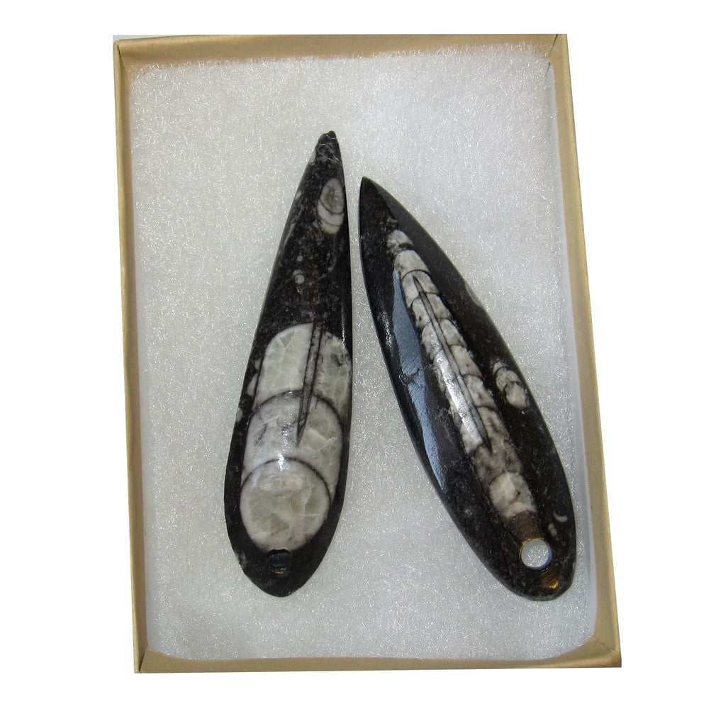 Amulette Fossile Paires de Mini Pendentifs Baguettes pour les Voyages dans les Vies Antérieures