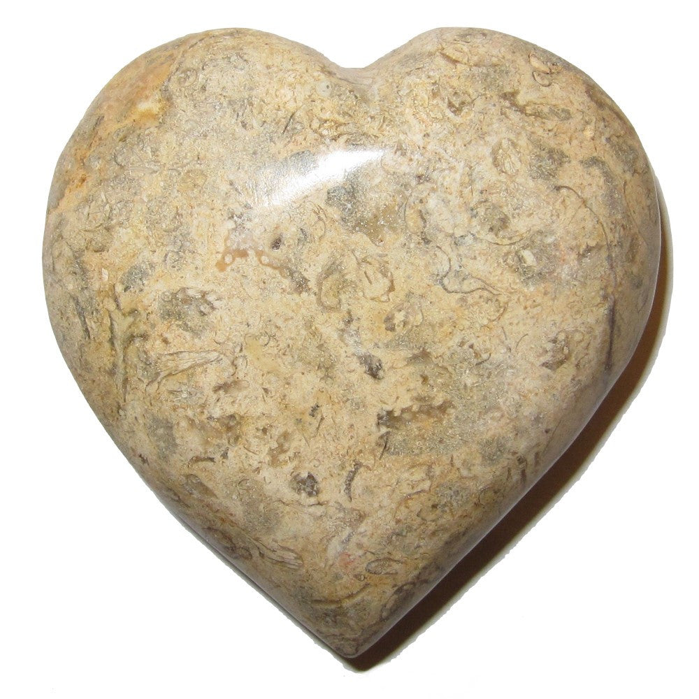 Fossiles Herz Ewige Seelenverwandte Liebe Kristall Heilstein Braun