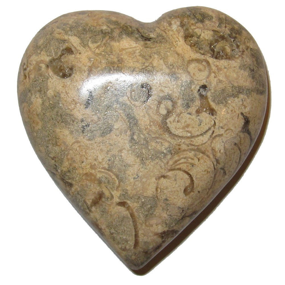 Fossiles Herz Ewige Seelenverwandte Liebe Kristall Heilstein Braun