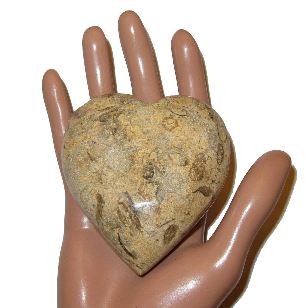 Fossiles Herz Ewige Seelenverwandte Liebe Kristall Heilstein Braun