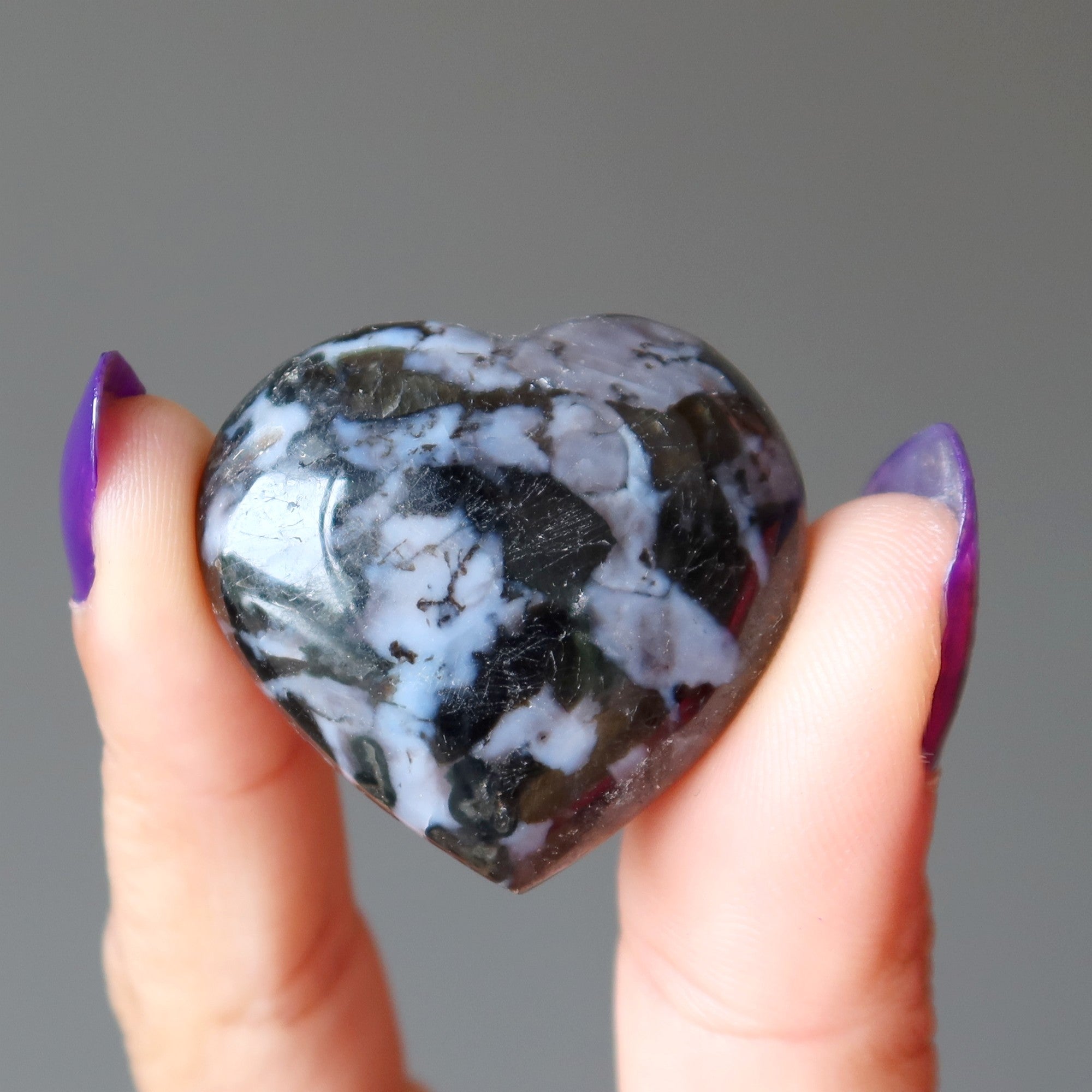 Gabbro Heart Pagan Spirit Indigo Black Stone