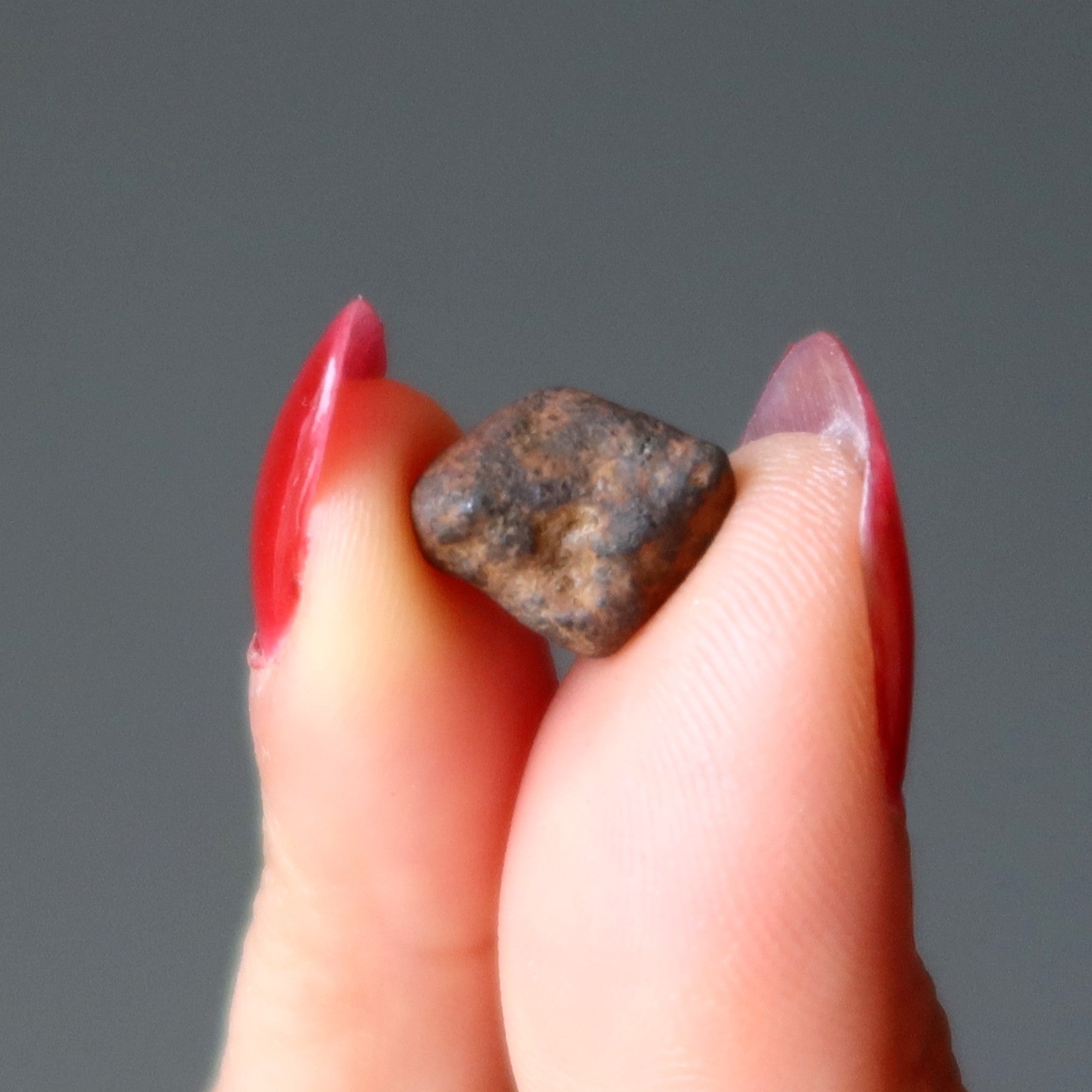 Gao-Guenie Meteorit Chondrit Geheimnisse des Weltraums