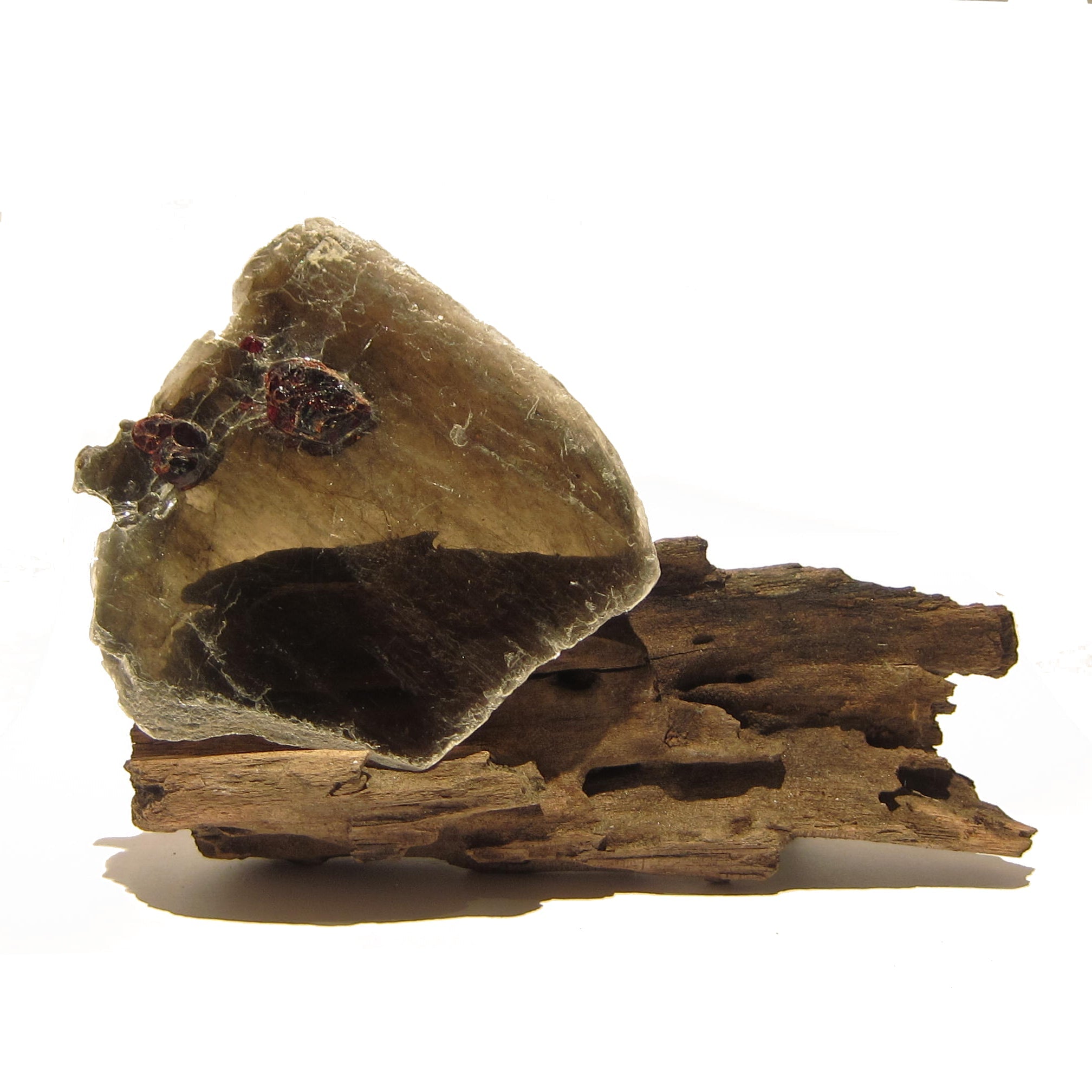 Granat Mineral-Edelsteinprobe in Glimmerkristall auf Naturholzständer