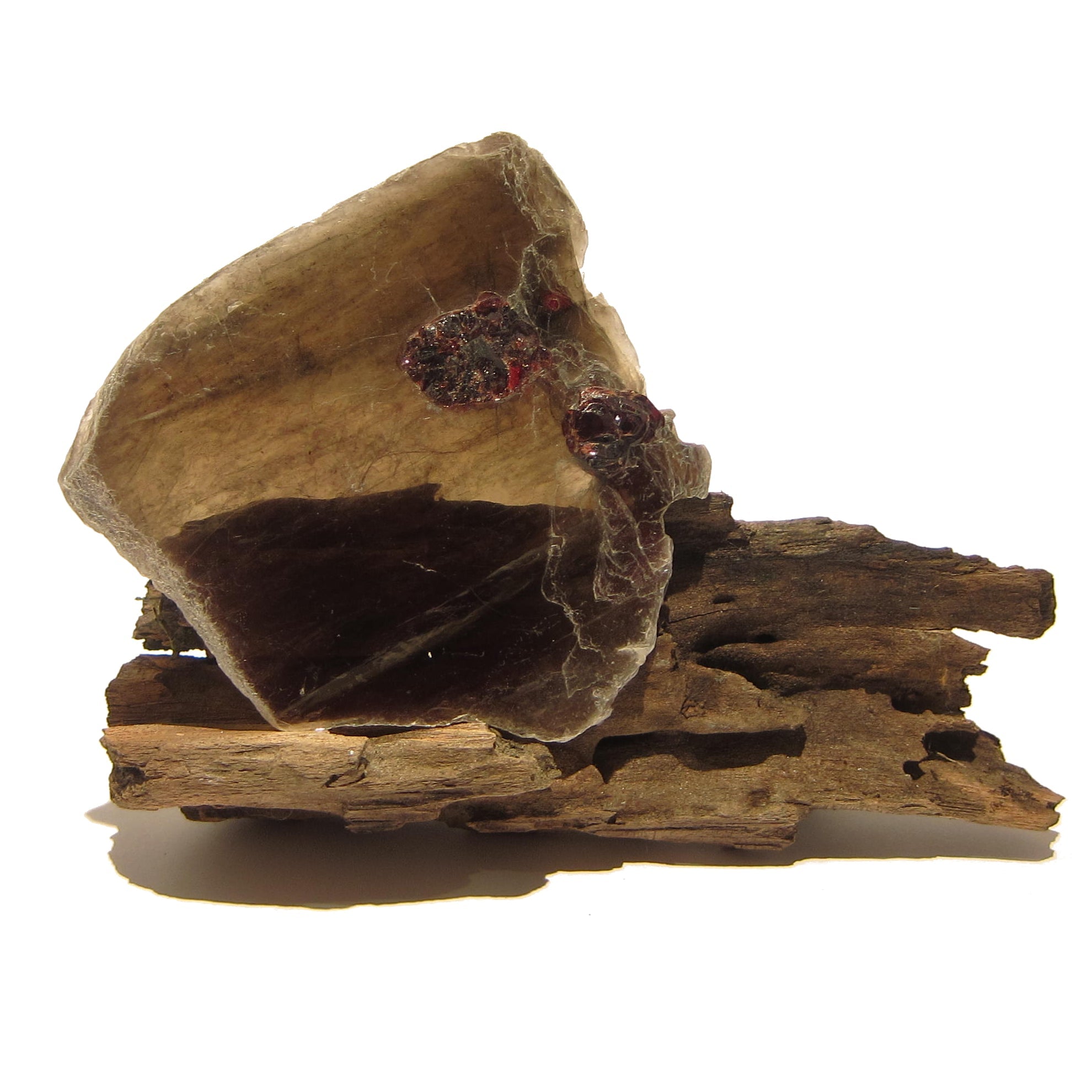 Granat Mineral-Edelsteinprobe in Glimmerkristall auf Naturholzständer