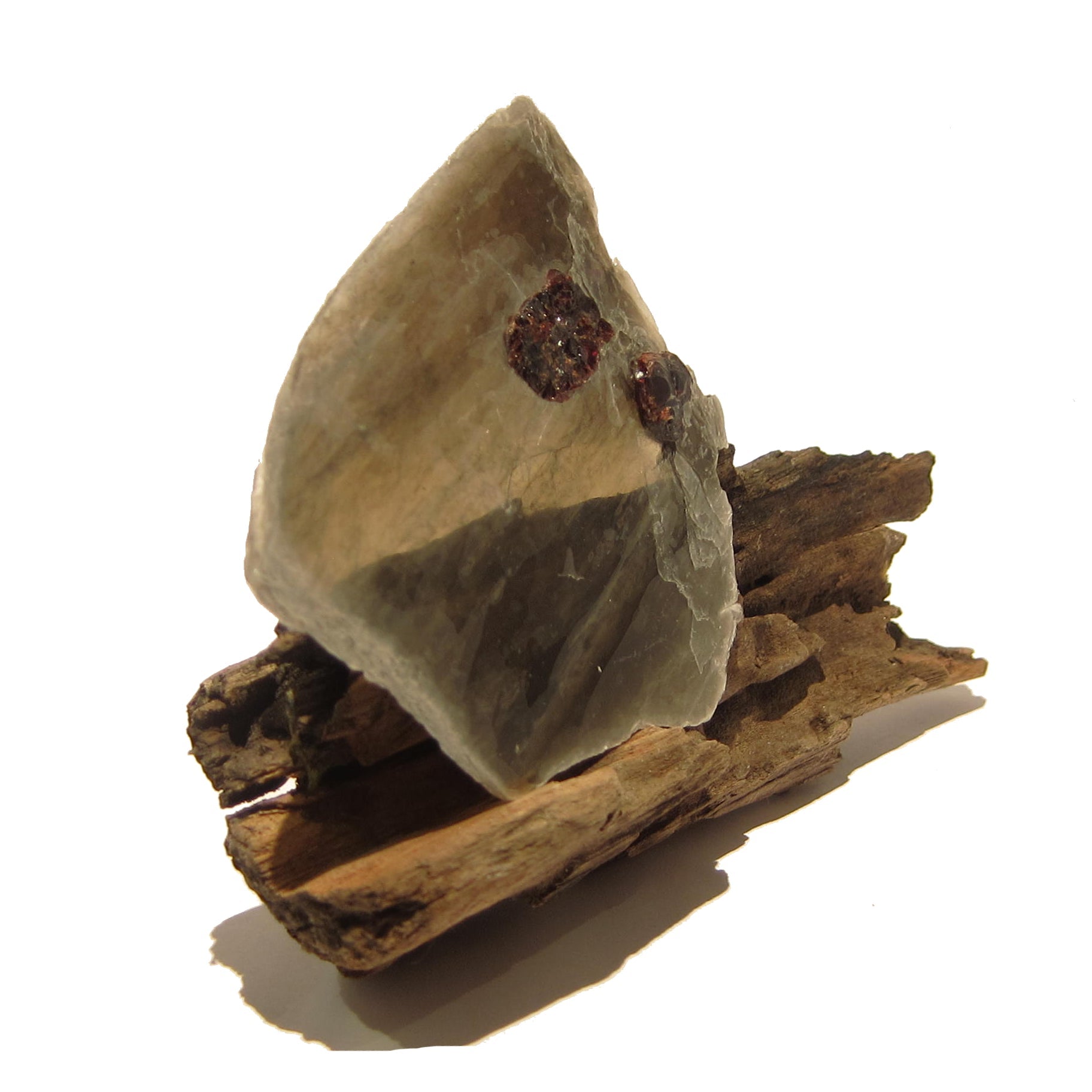 Granat Mineral-Edelsteinprobe in Glimmerkristall auf Naturholzständer