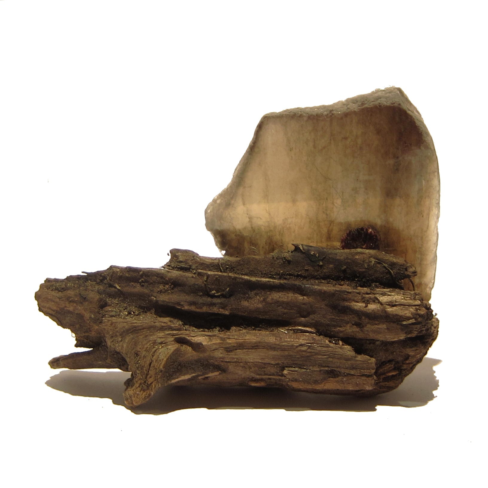 Granat Mineral-Edelsteinprobe in Glimmerkristall auf Naturholzständer