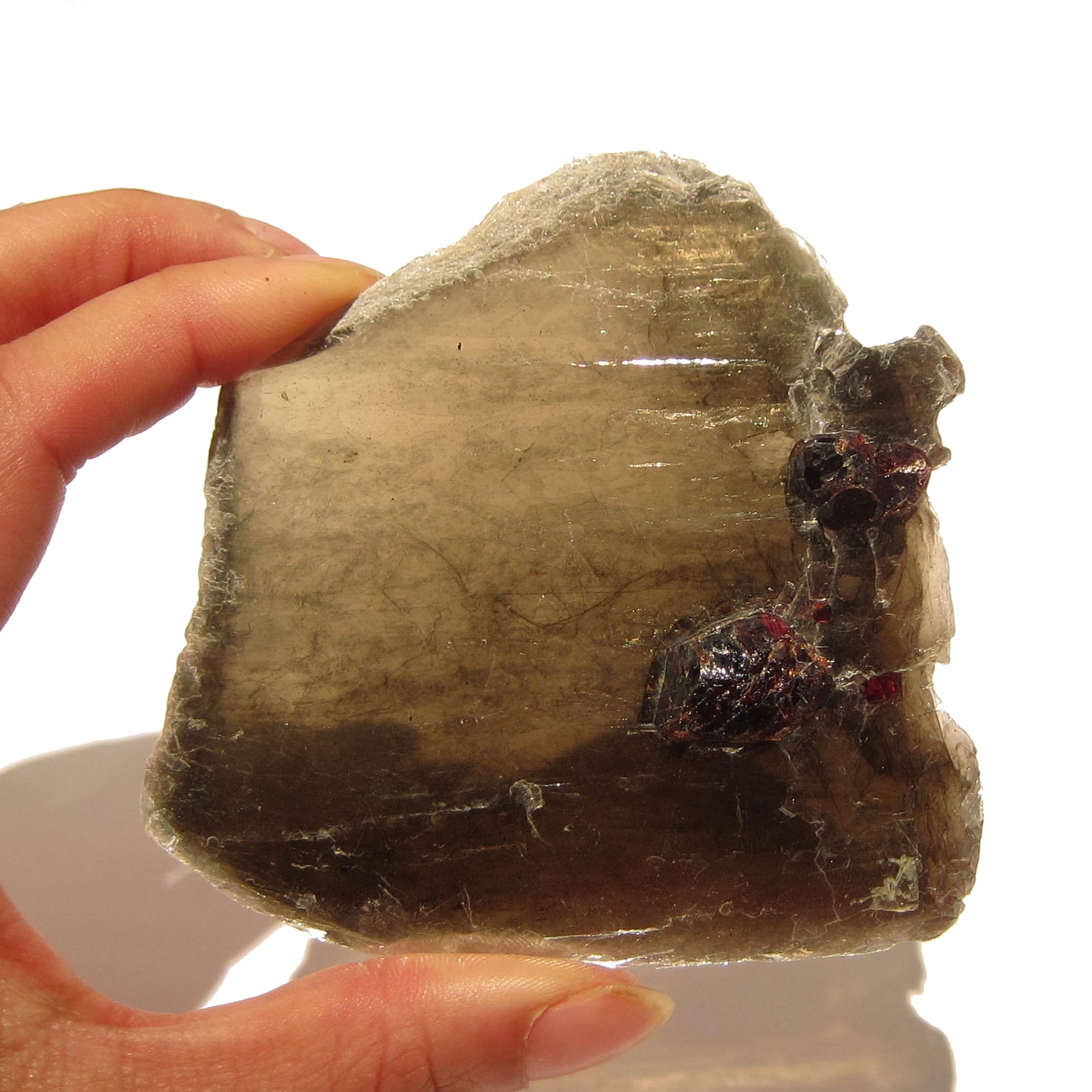 Granat Mineral-Edelsteinprobe in Glimmerkristall auf Naturholzständer