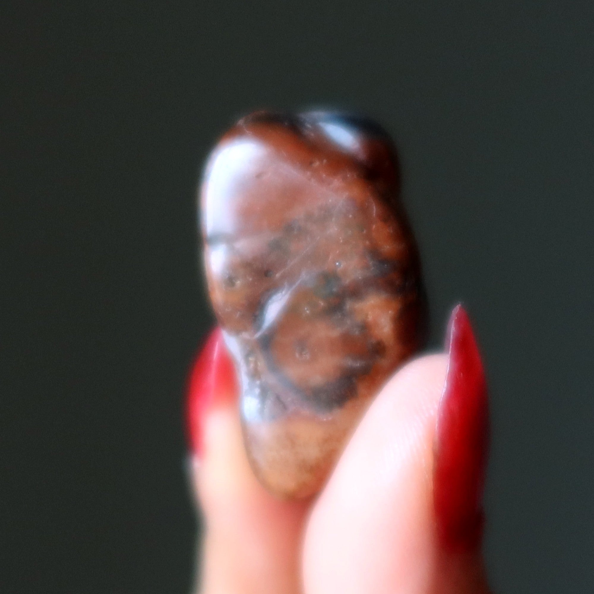 Erdung Set Wurzelchakra Edelsteine Tigerauge Versteinertes Holz
