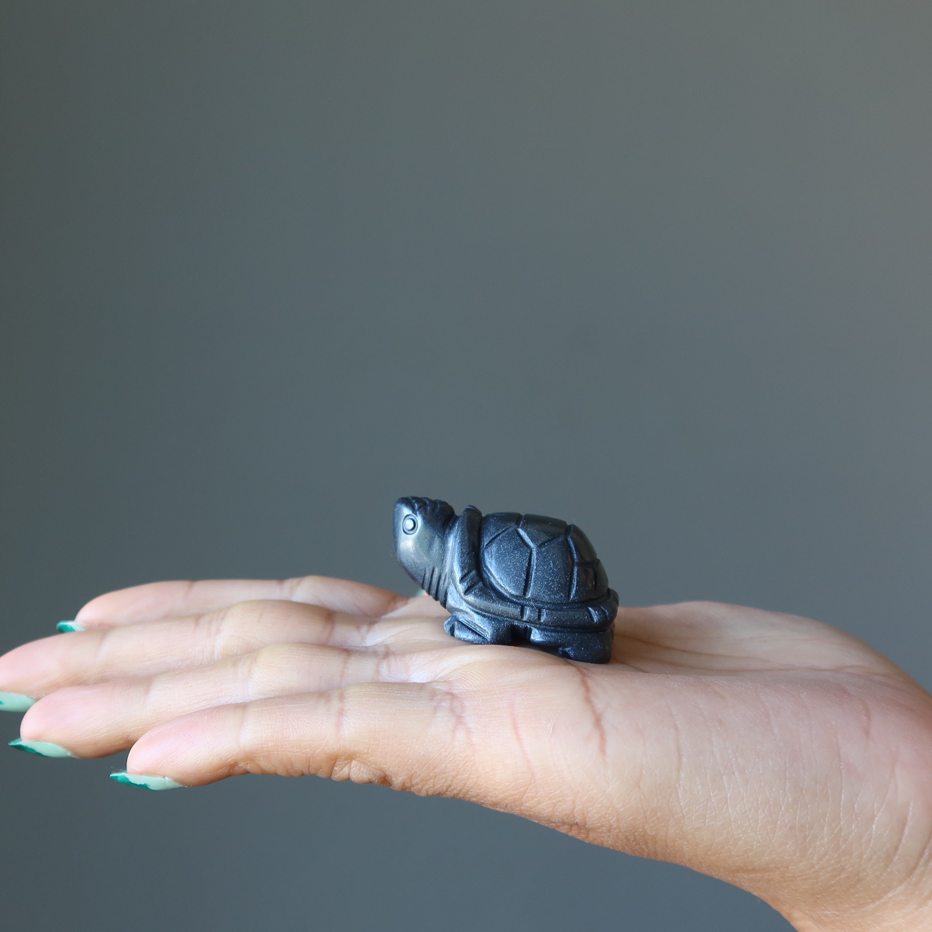 Hematite Turtle Forever Faithful Protection Animal
