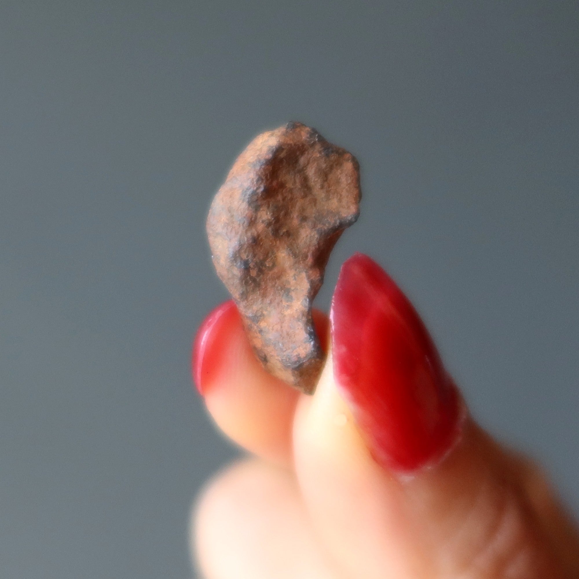 Météorite de Henbury Passionné d'espace Fer rare Australie