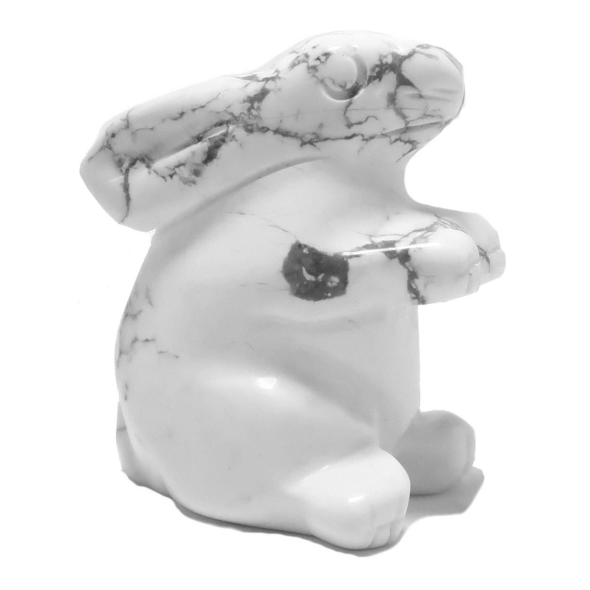 Howlite Lapin Hop to Health Lapin Blanc Animal