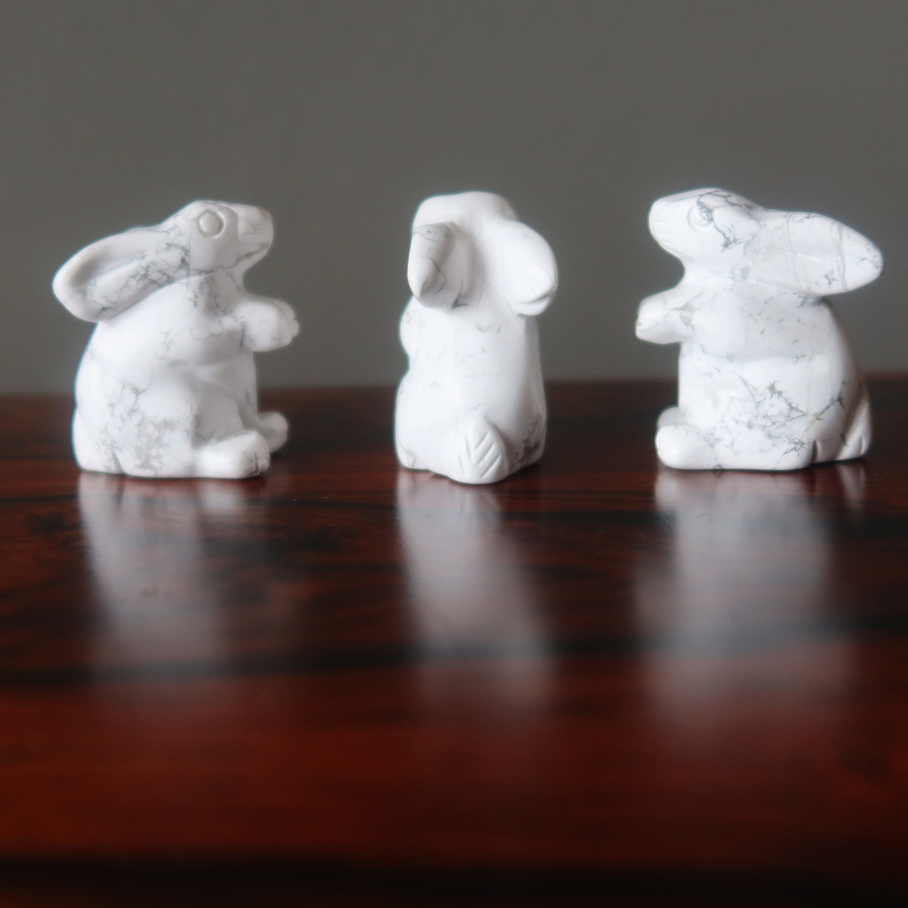 Howlite Lapin Hop to Health Lapin Blanc Animal