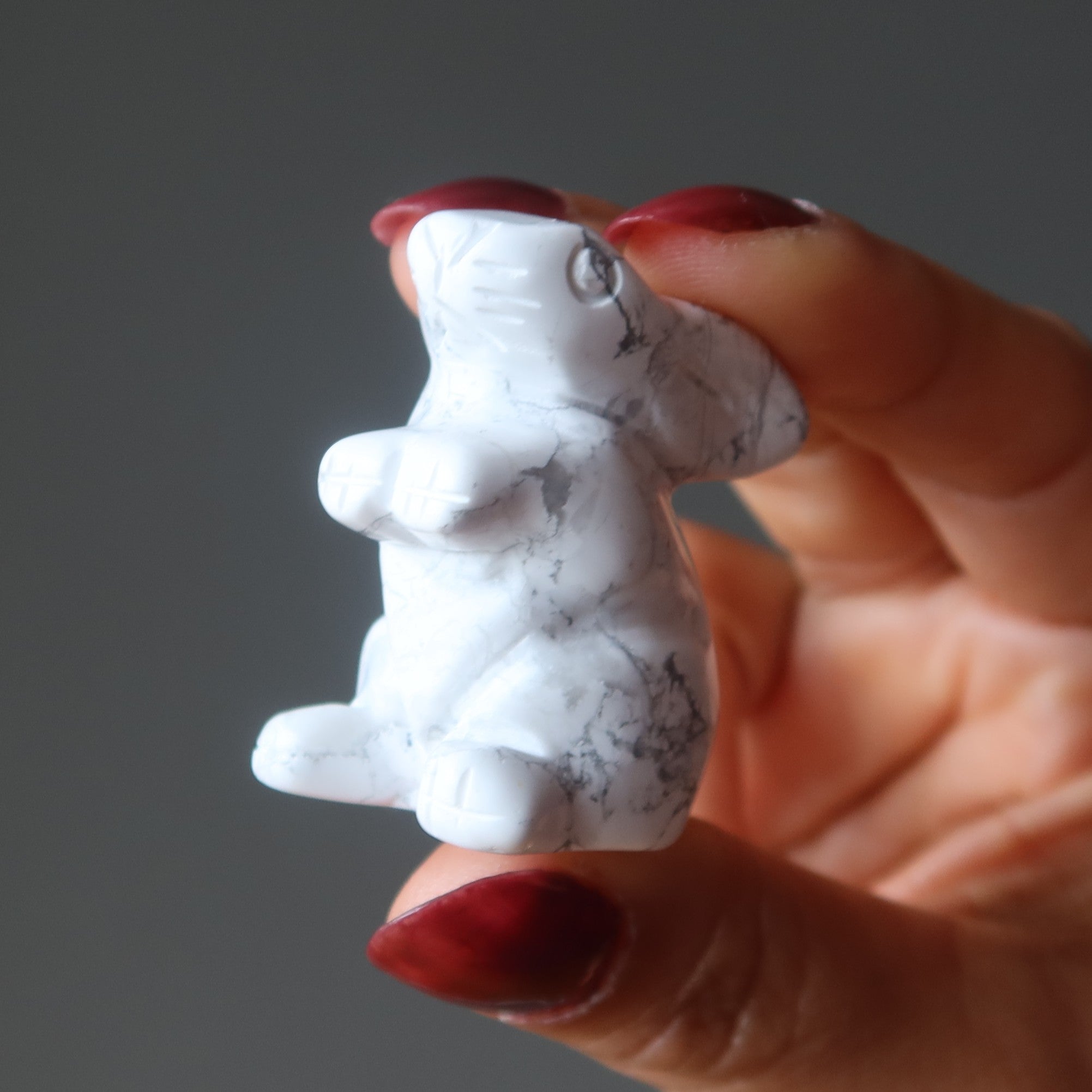 Howlite Lapin Hop to Health Lapin Blanc Animal