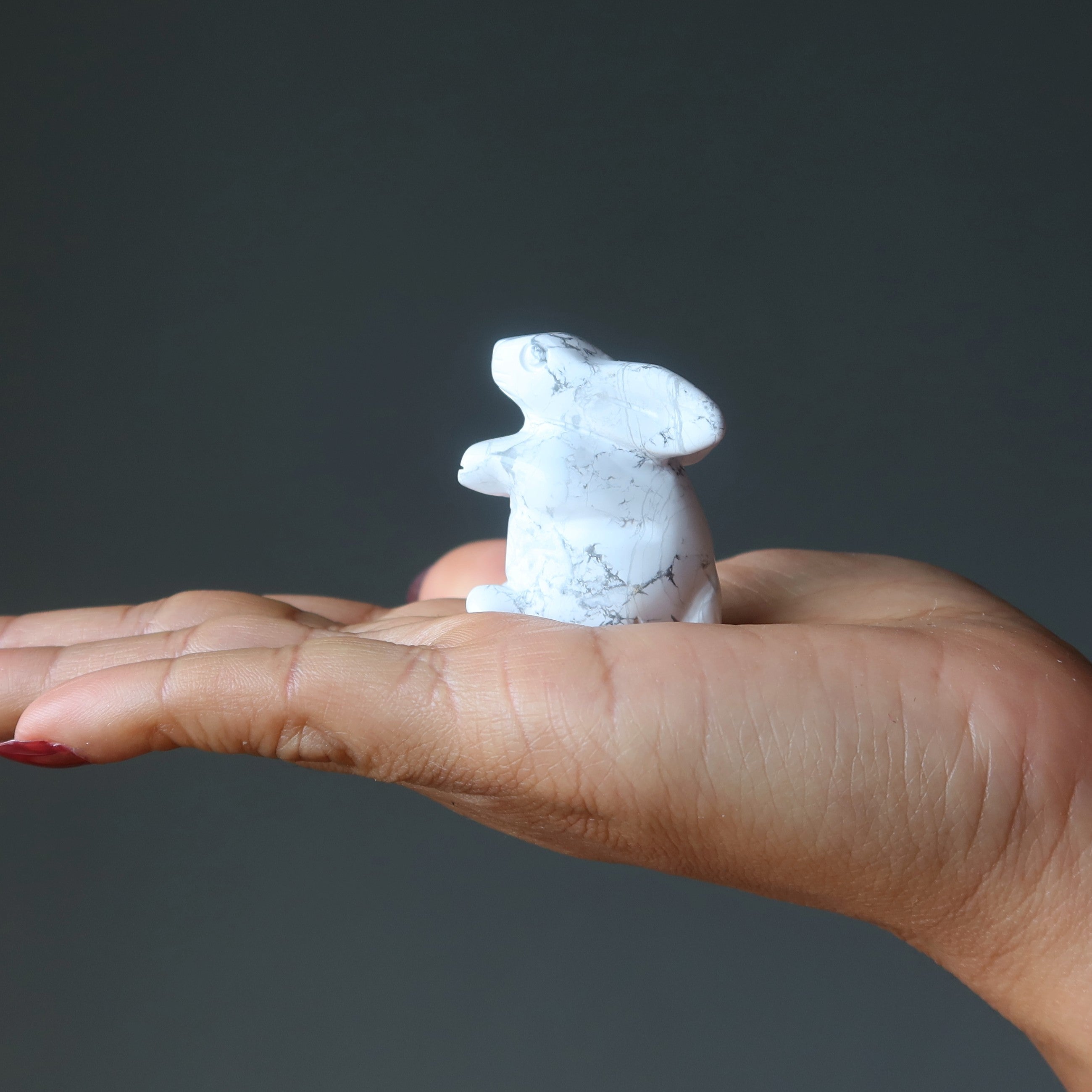 Howlite Lapin Hop to Health Lapin Blanc Animal