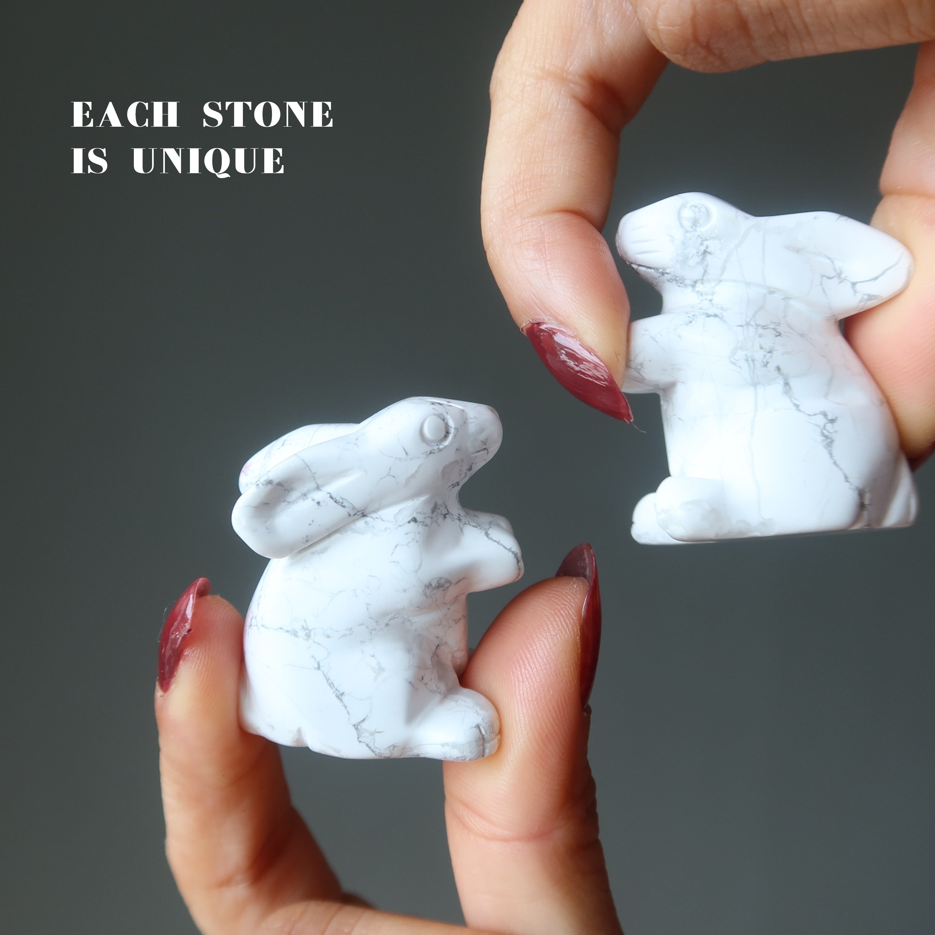 Howlite Lapin Hop to Health Lapin Blanc Animal