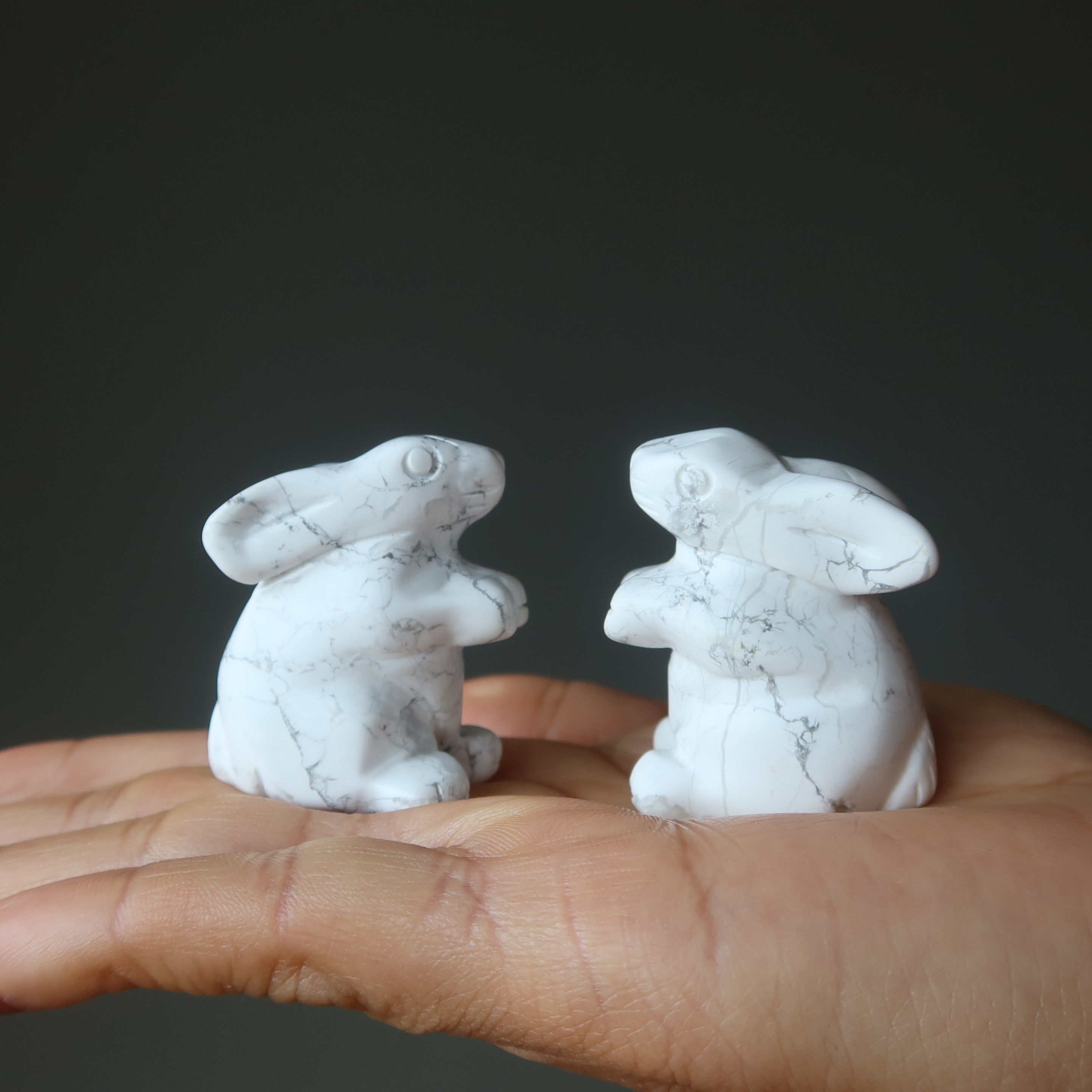 Howlite Lapin Hop to Health Lapin Blanc Animal
