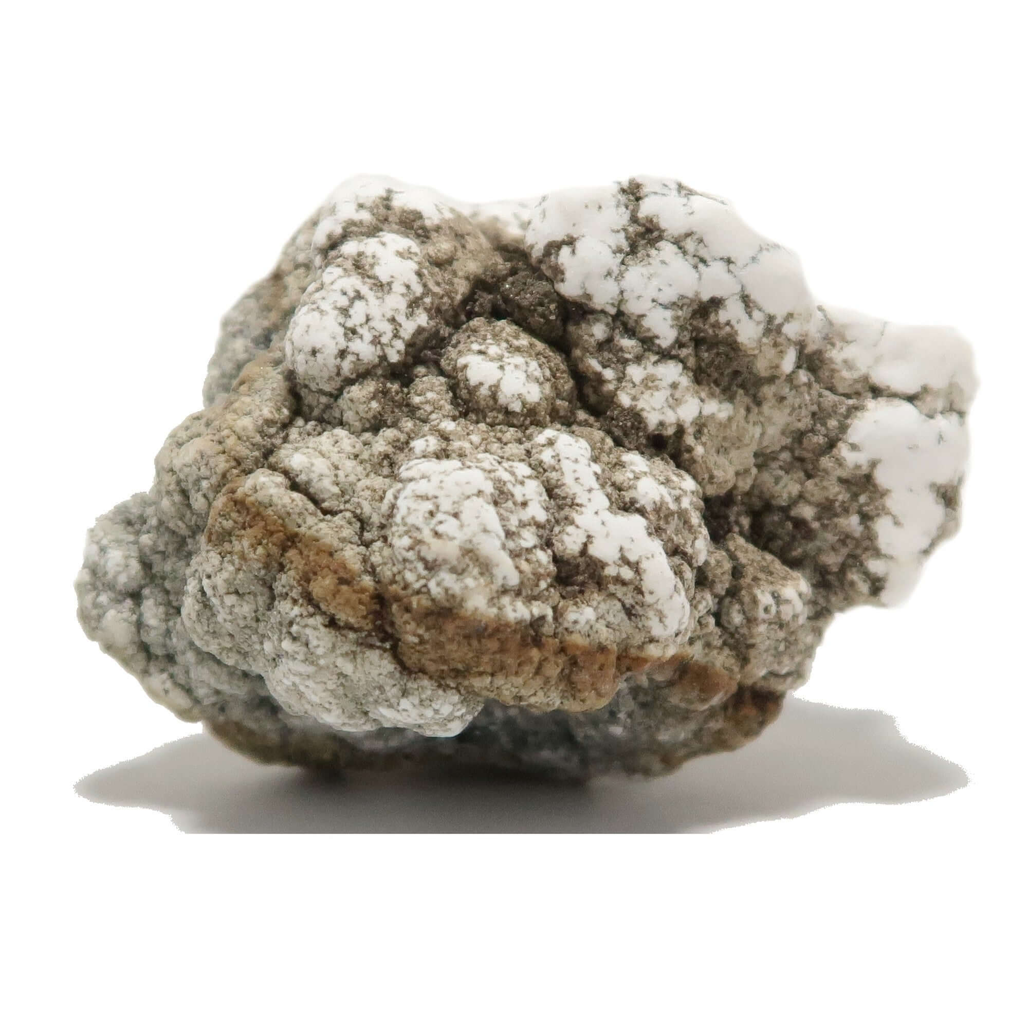 Howlite brute Pierre roulée Brainiac Smart Start blanche