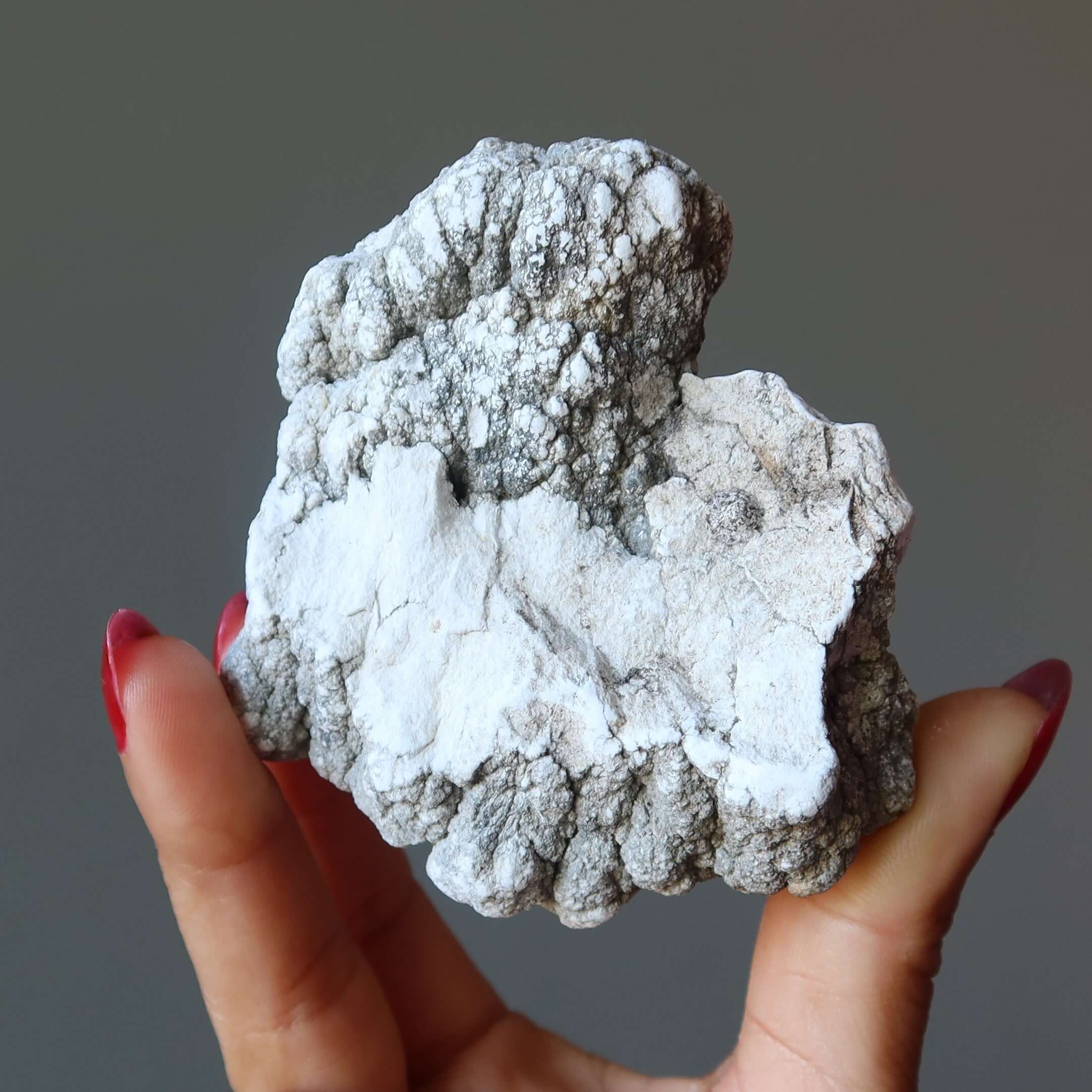 Howlite brute Pierre roulée Brainiac Smart Start blanche