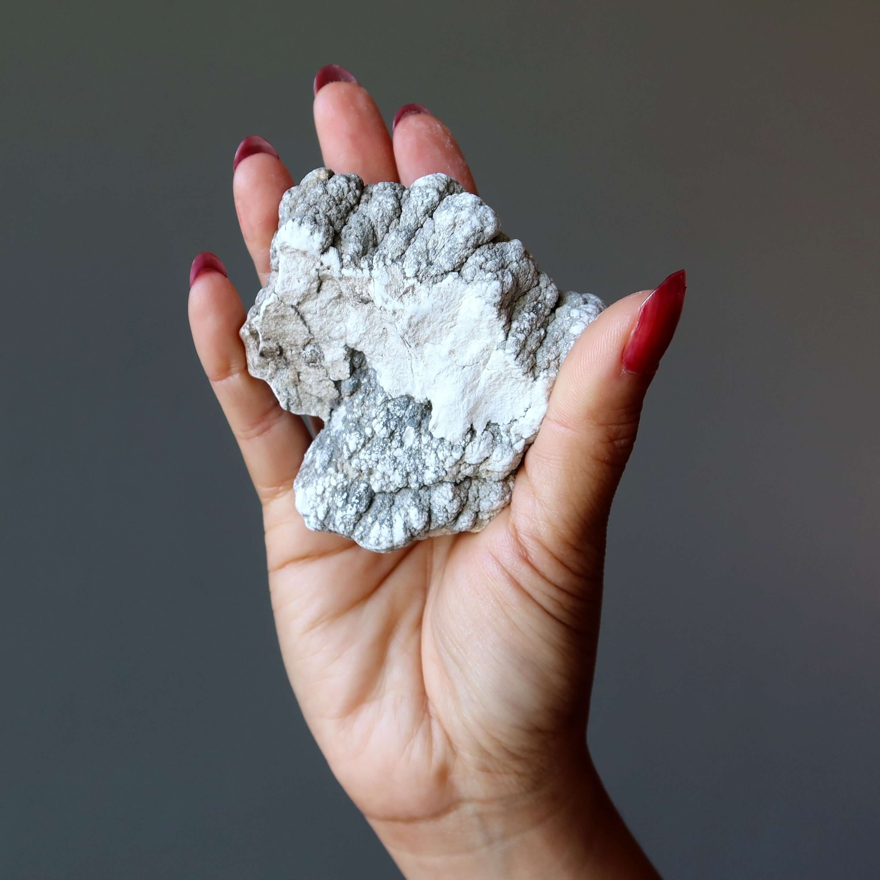 Howlite brute Pierre roulée Brainiac Smart Start blanche
