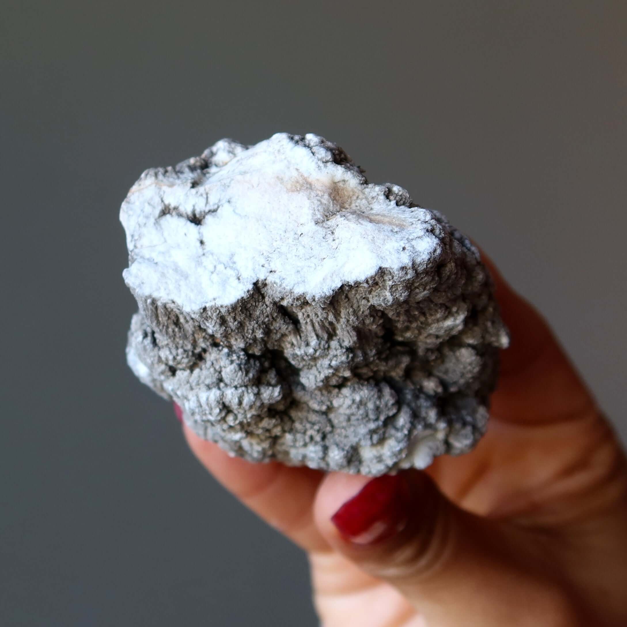Howlite brute Pierre roulée Brainiac Smart Start blanche