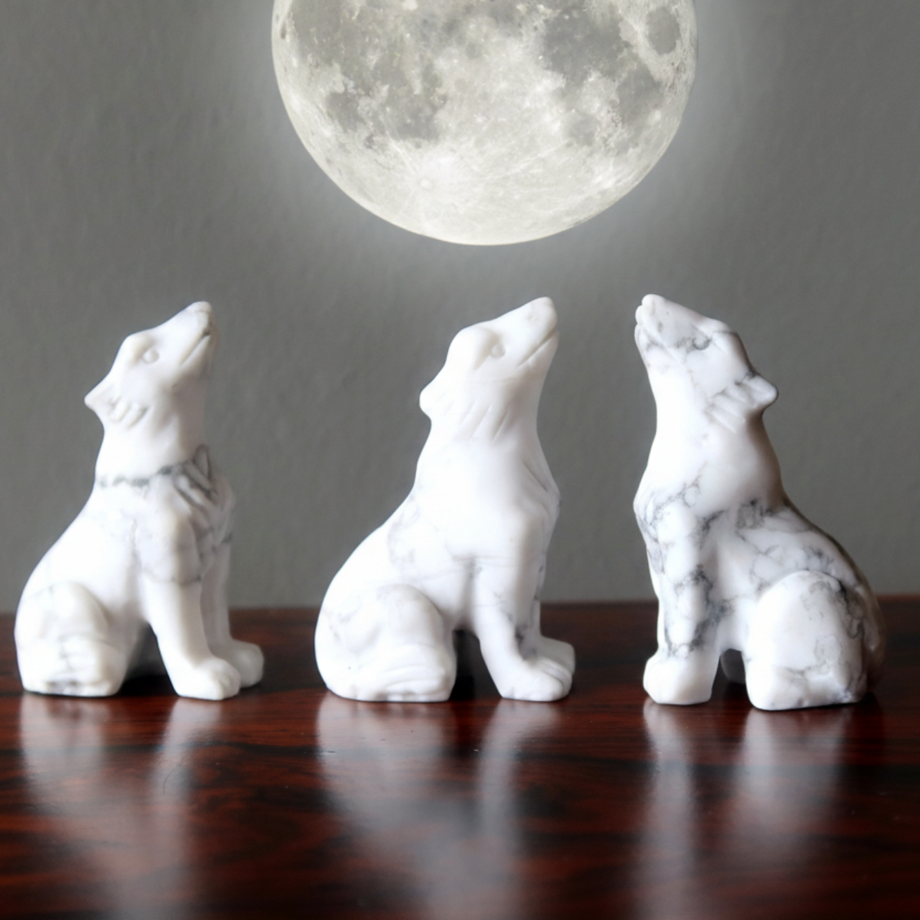Howlite Wolf Howling Full Moon White Animal