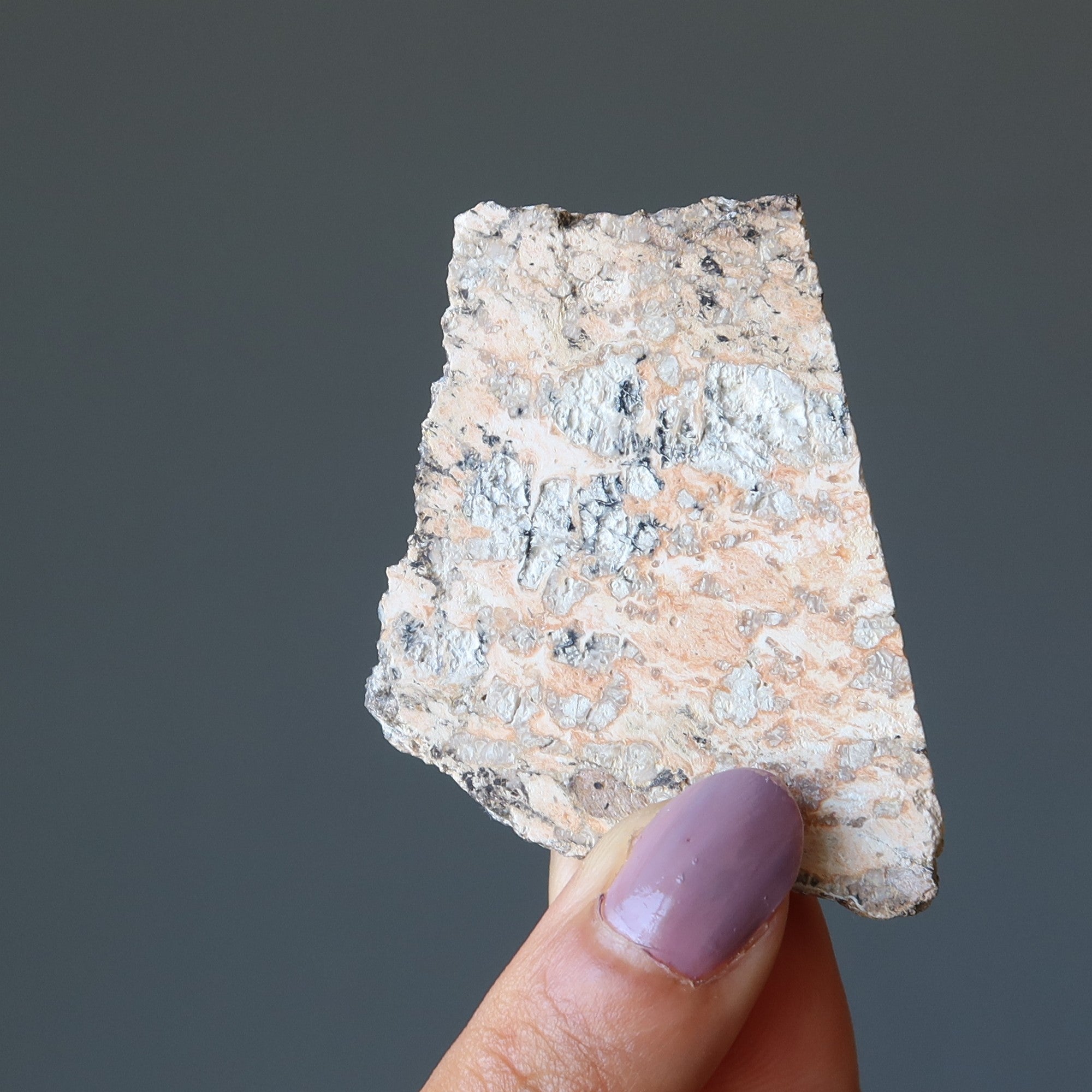 Météorite ukrainienne à tranche d'impactite du cratère d'Ilyinets