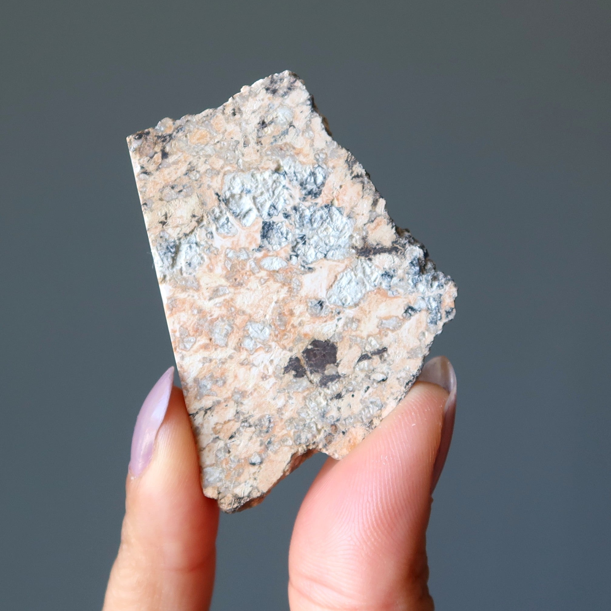 Météorite ukrainienne à tranche d'impactite du cratère d'Ilyinets