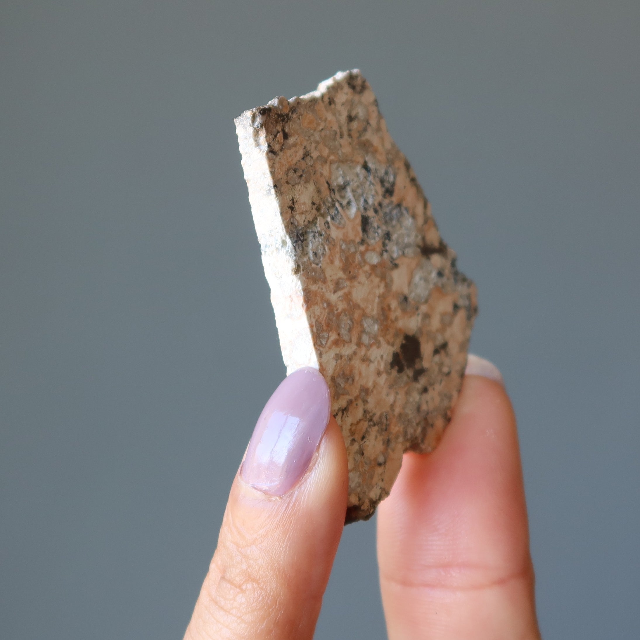 Météorite ukrainienne à tranche d'impactite du cratère d'Ilyinets