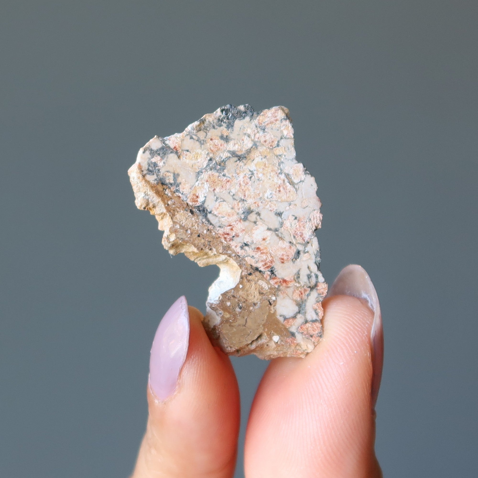 Météorite ukrainienne à tranche d'impactite du cratère d'Ilyinets