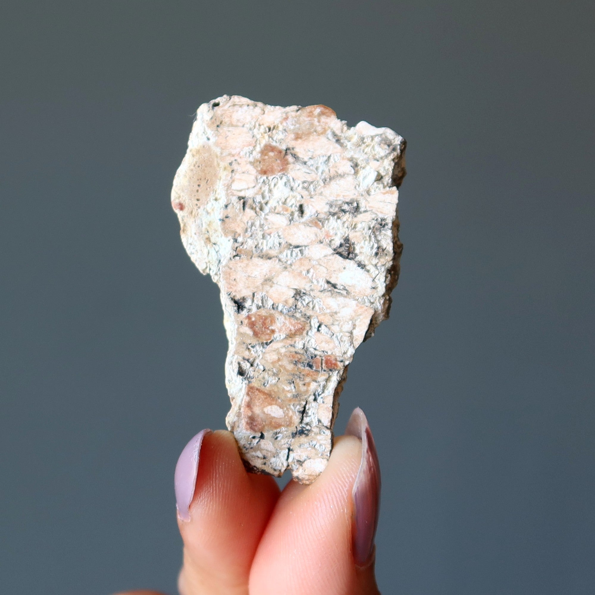 Météorite ukrainienne à tranche d'impactite du cratère d'Ilyinets