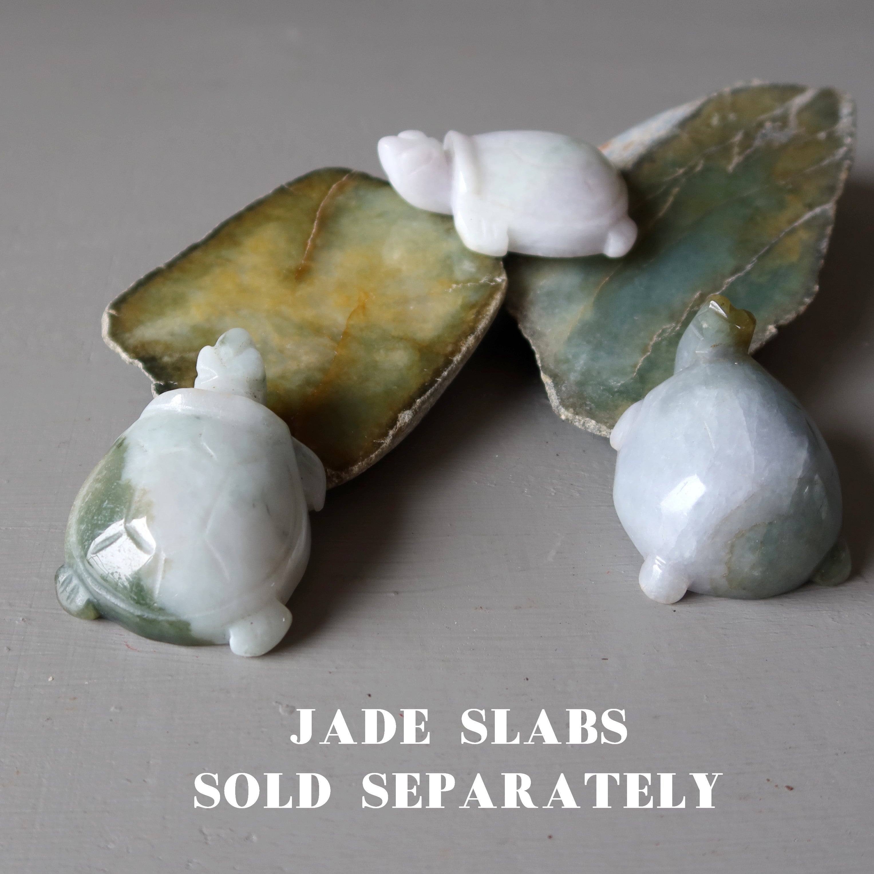 Jade Tortue Jadéite Birmane Vert Vie paisible