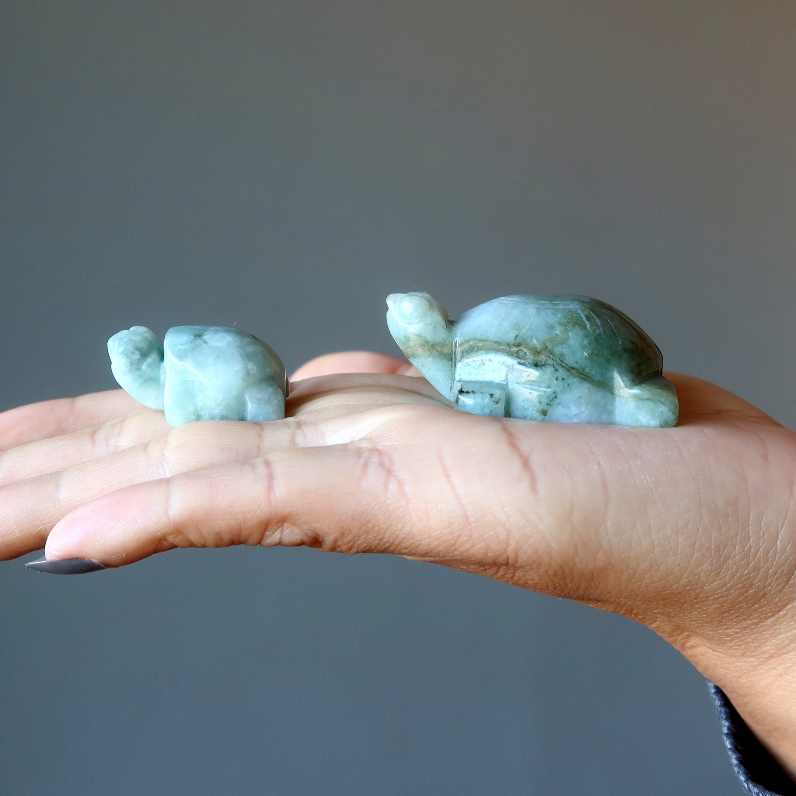 Jade Tortue Jadéite Birmane Vert Vie paisible