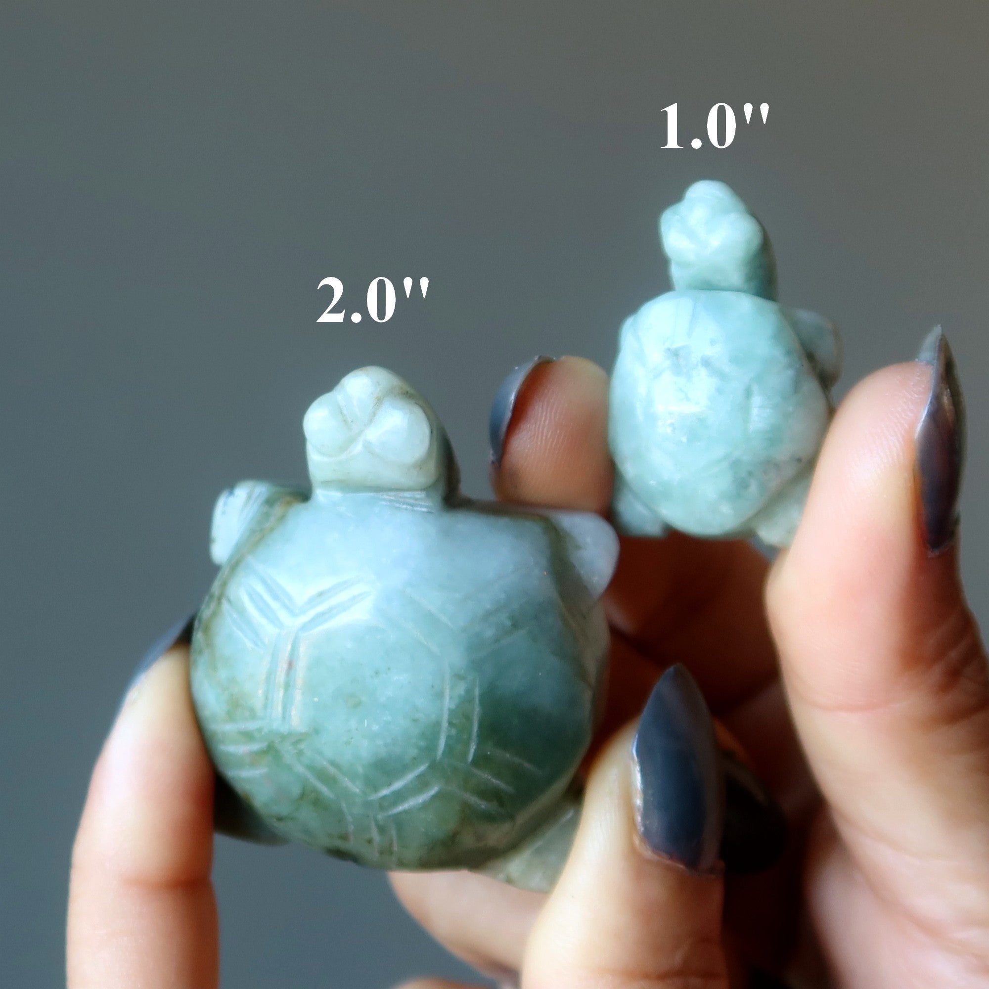 Jade Tortue Jadéite Birmane Vert Vie paisible
