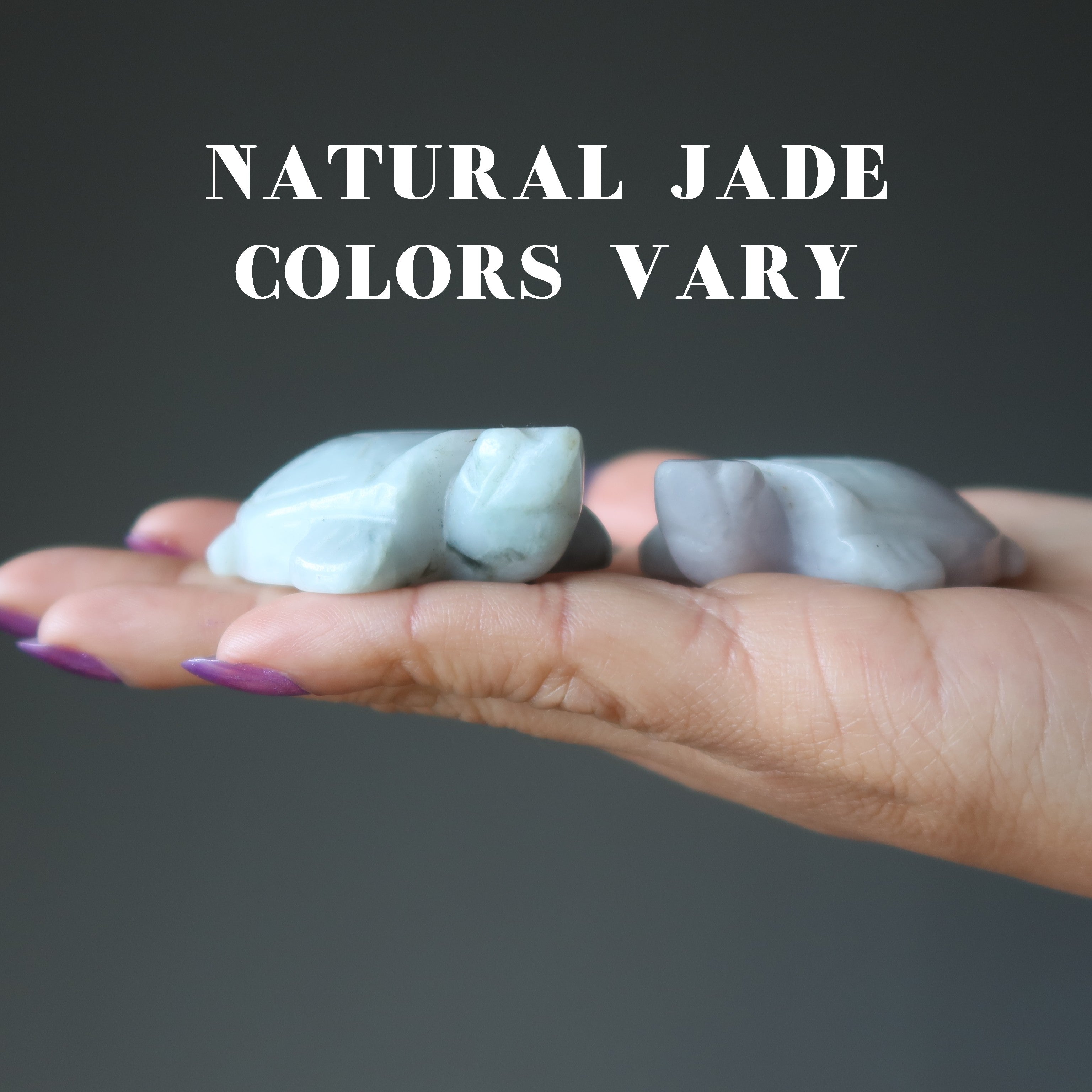 Jade Tortue Jadéite Birmane Vert Vie paisible