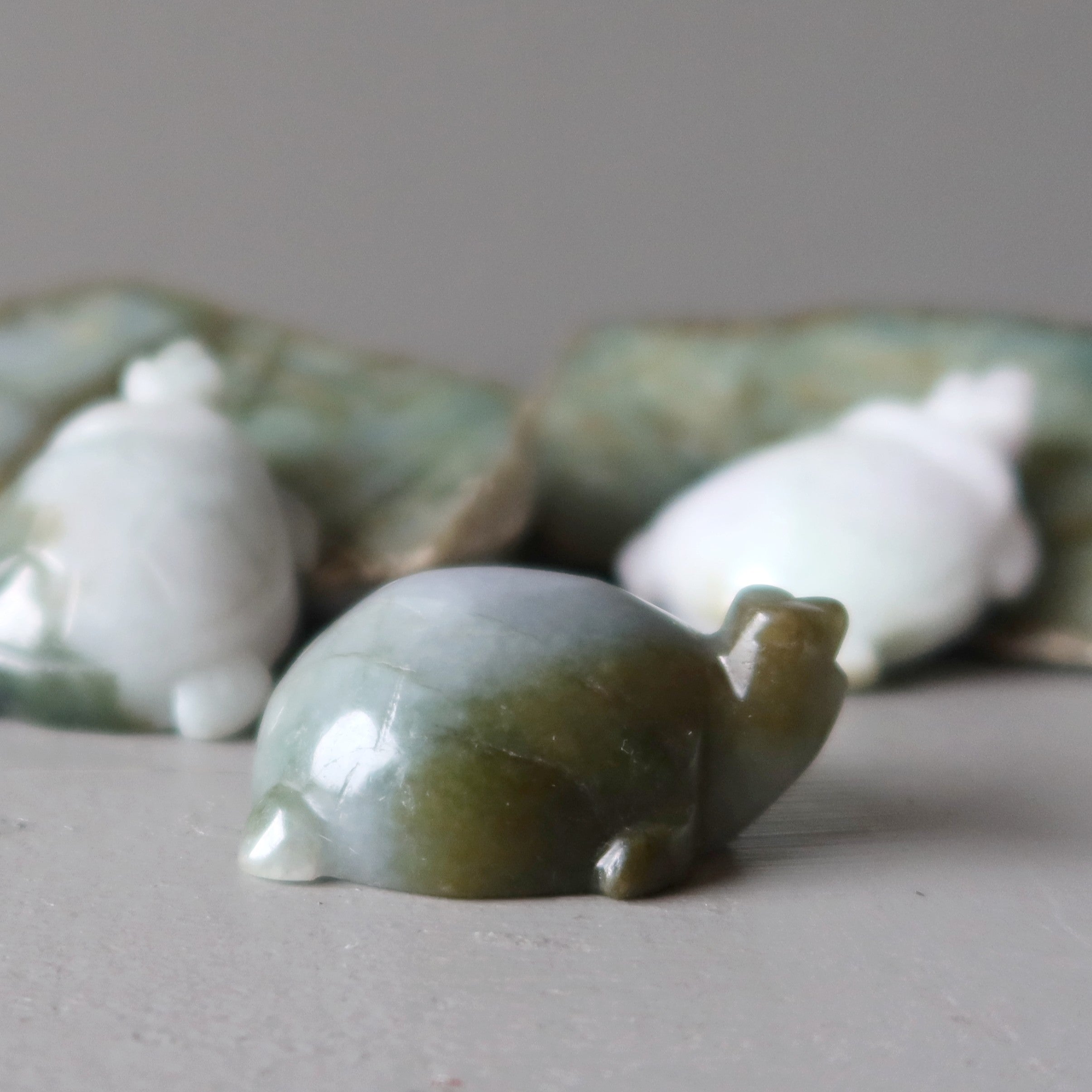 Jade Tortue Jadéite Birmane Vert Vie paisible