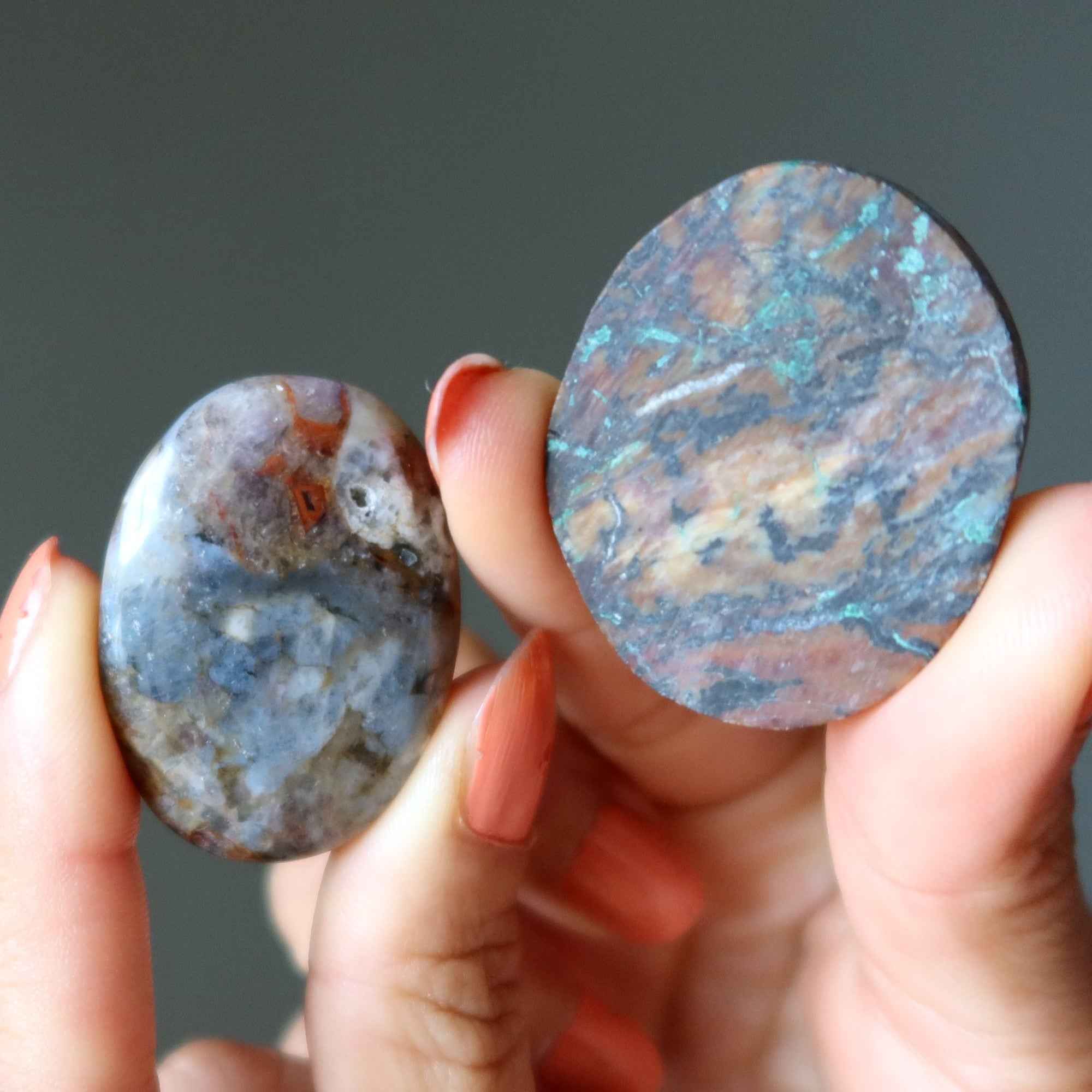 Jasper Grid Crystal Bundle Agate Cabochon Set of 16