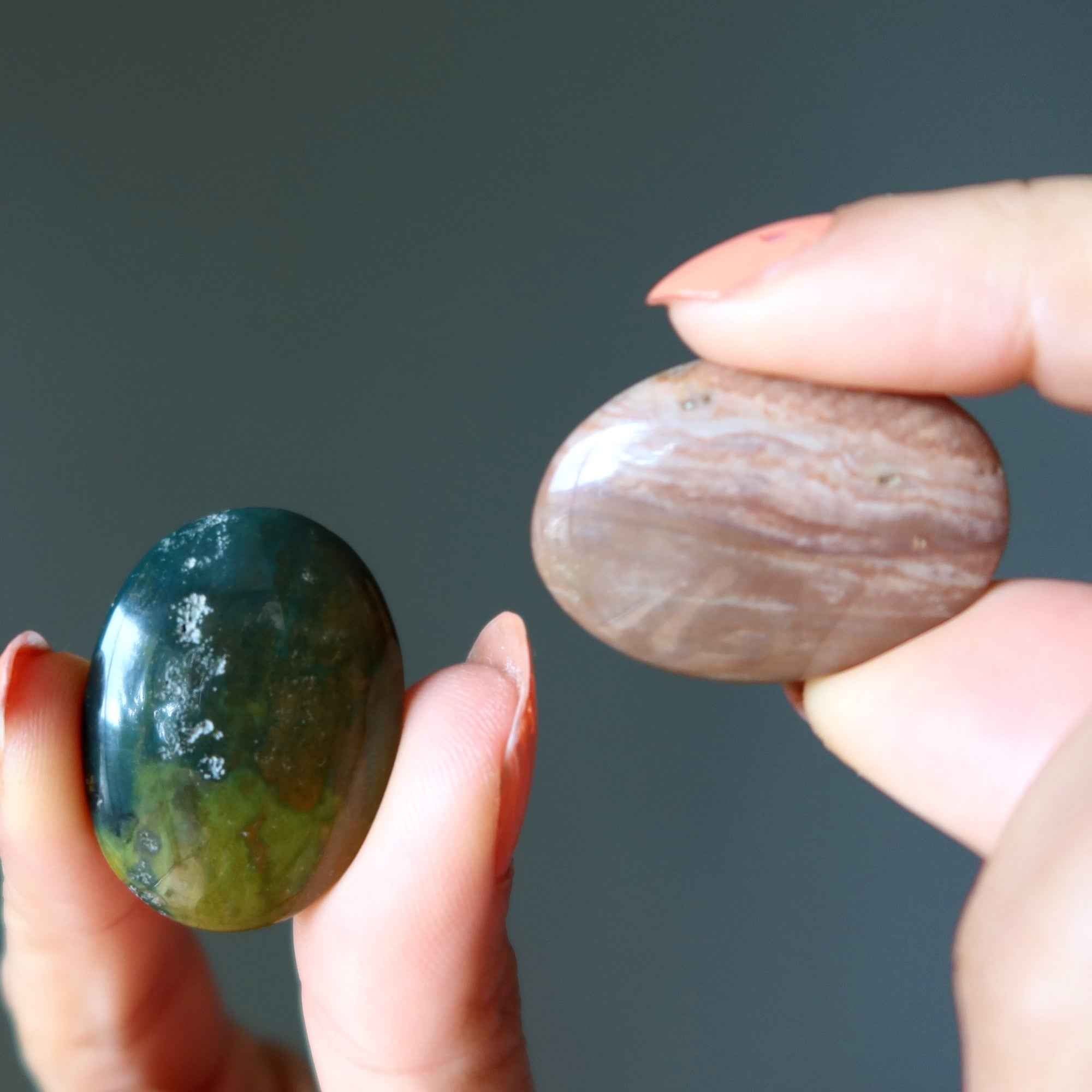 Jasper Grid Crystal Bundle Agate Cabochon Set of 16