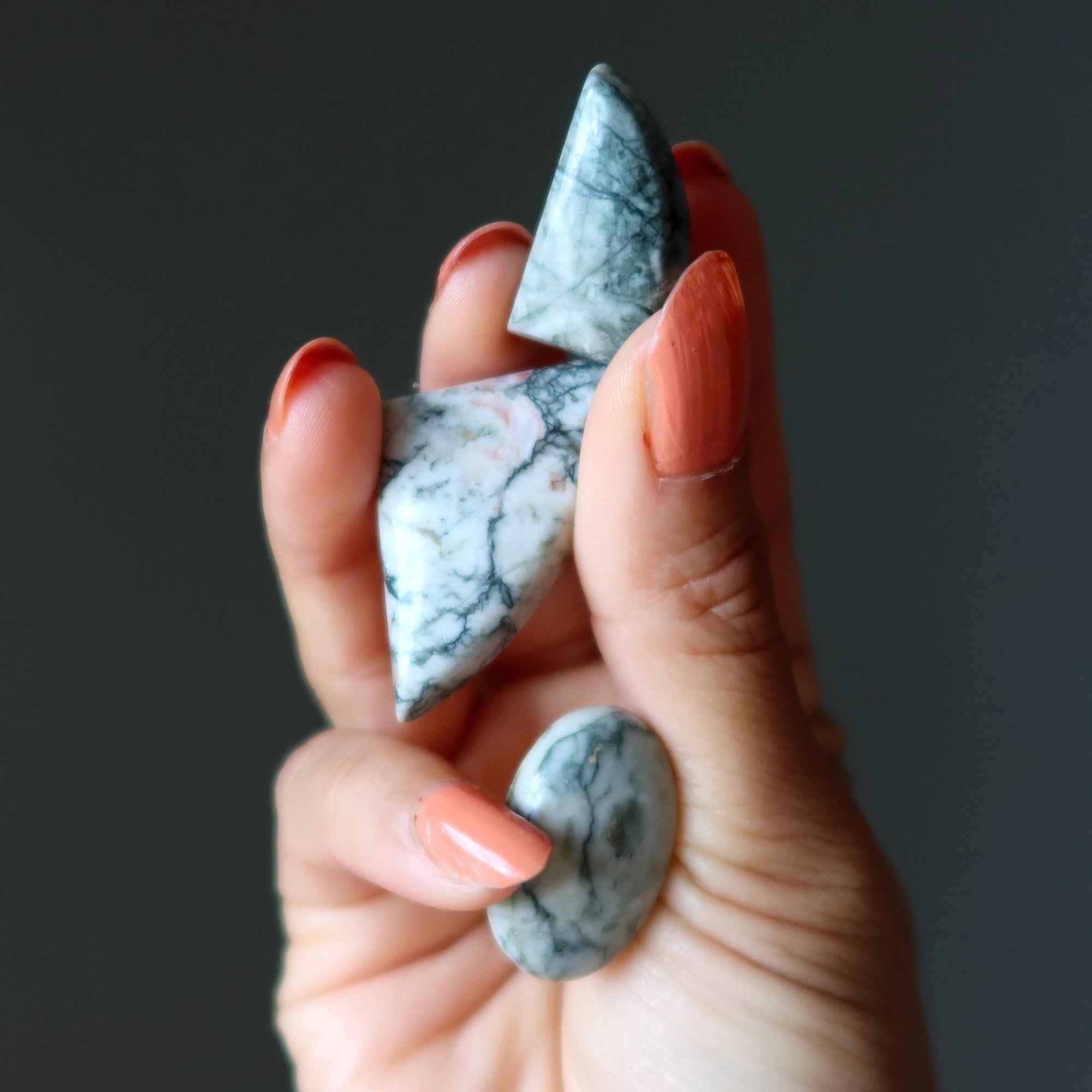 Jasper Grid Crystal Bundle Agate Cabochon Set of 16