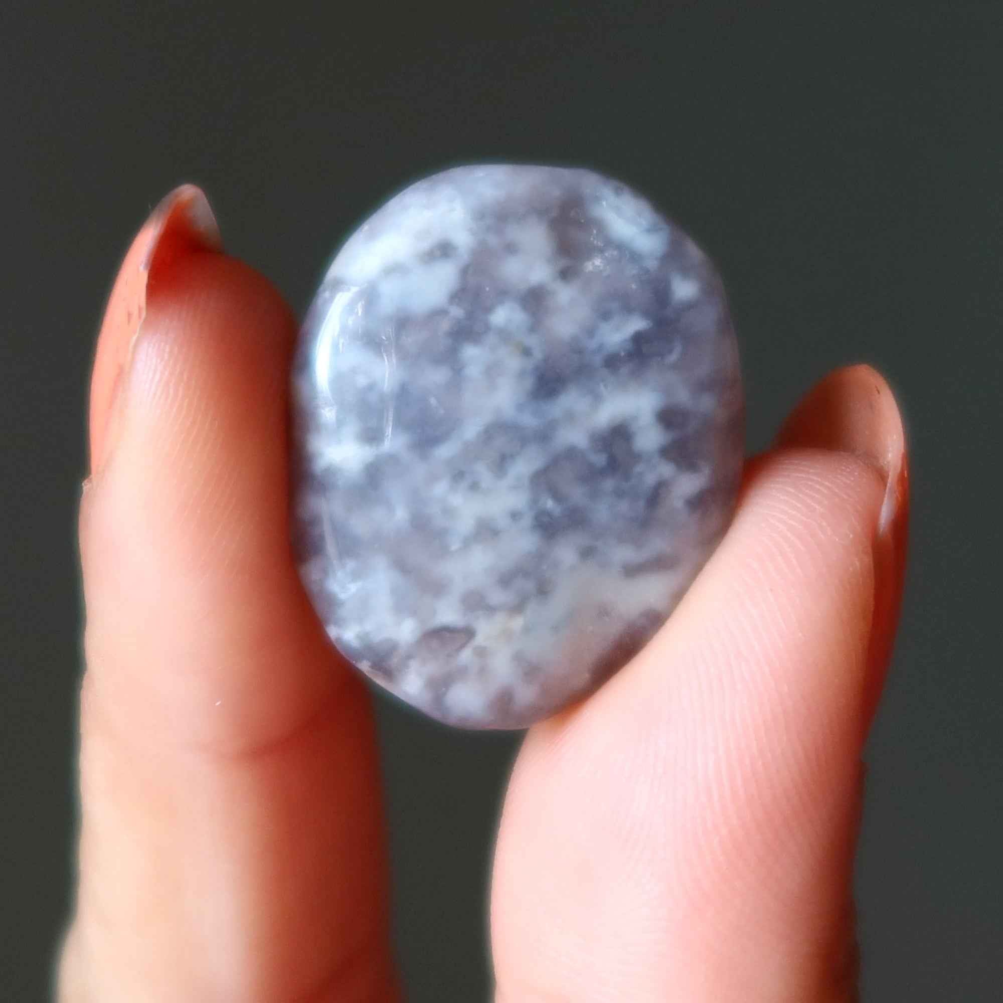 Jasper Grid Crystal Bundle Agate Cabochon Set of 16
