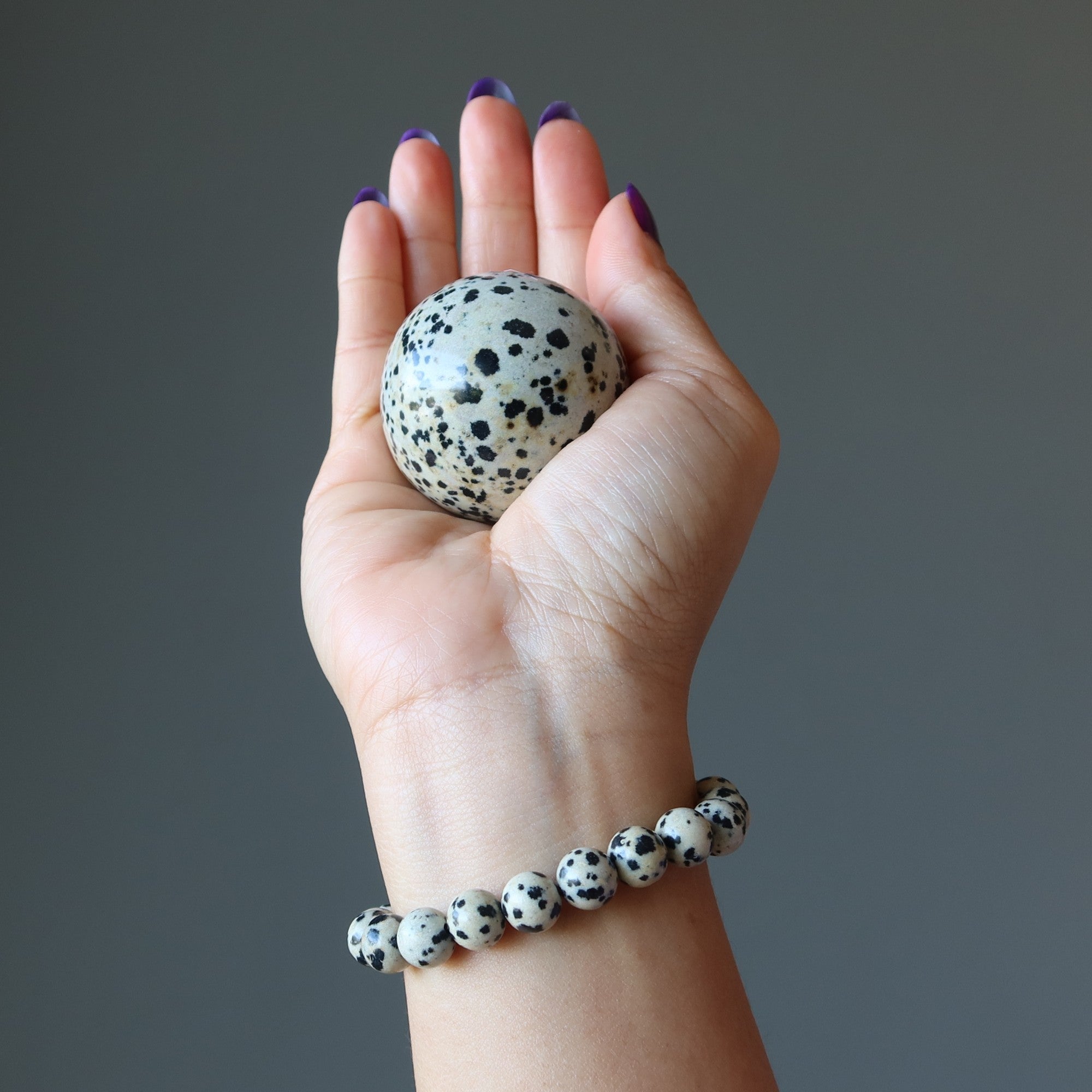 Dalmatian Jasper Sphere The Good Spot Crystal Ball