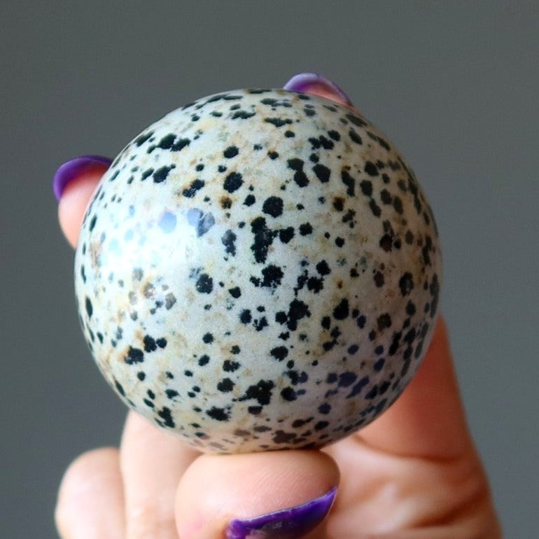 Dalmatian Jasper Sphere The Good Spot Crystal Ball