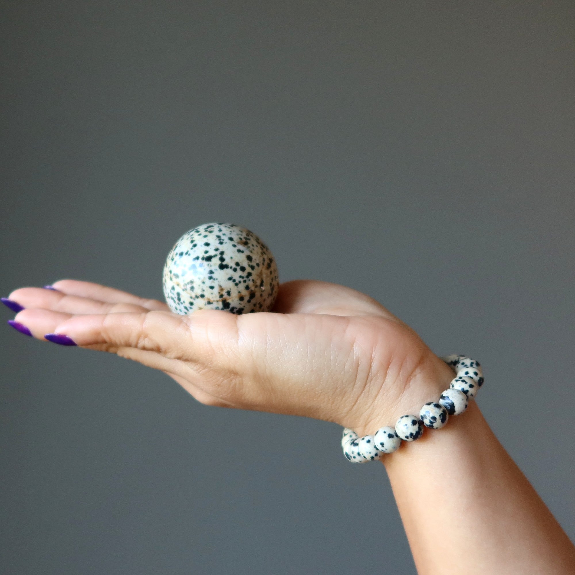 Dalmatian Jasper Sphere The Good Spot Crystal Ball