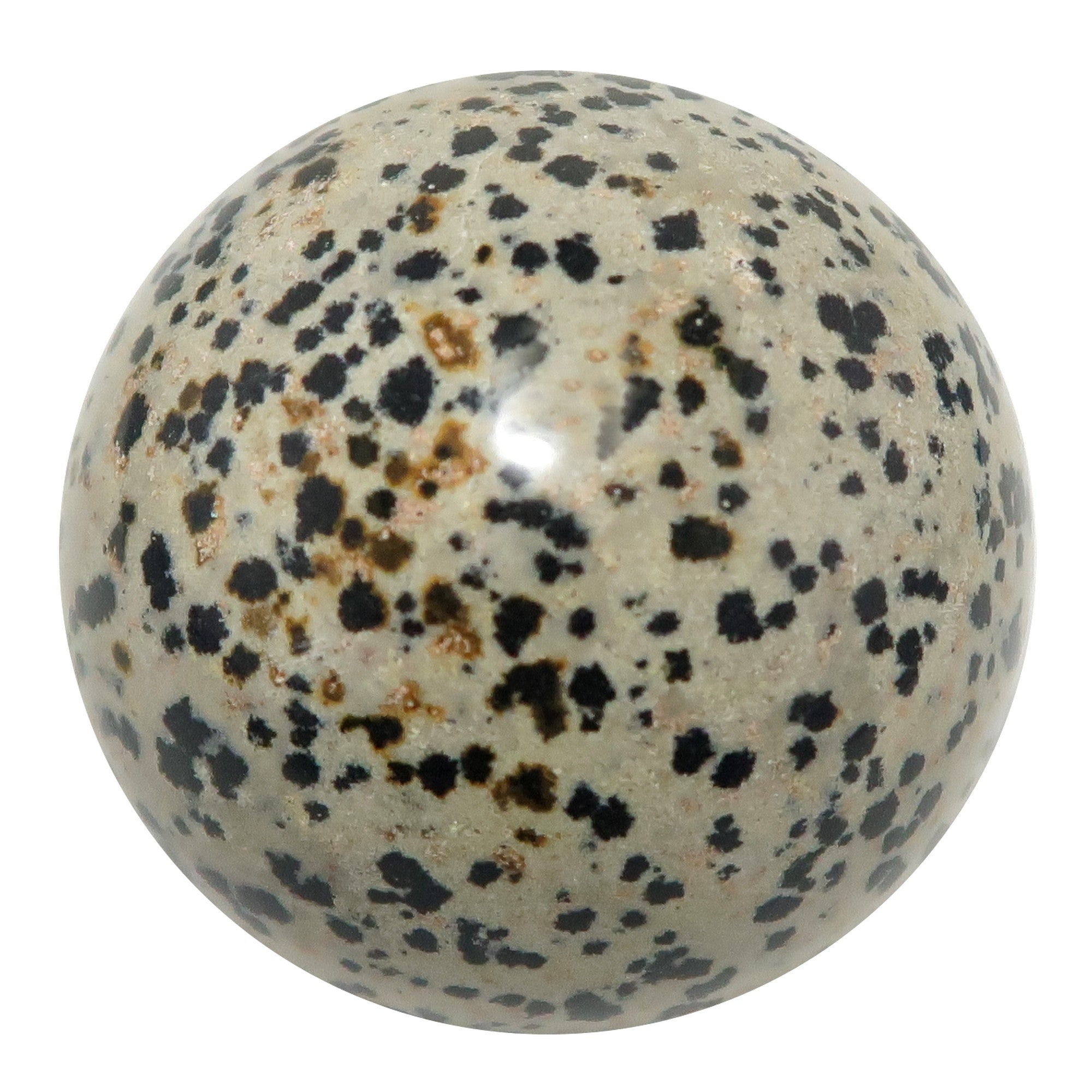 Dalmatian Jasper Sphere The Good Spot Crystal Ball