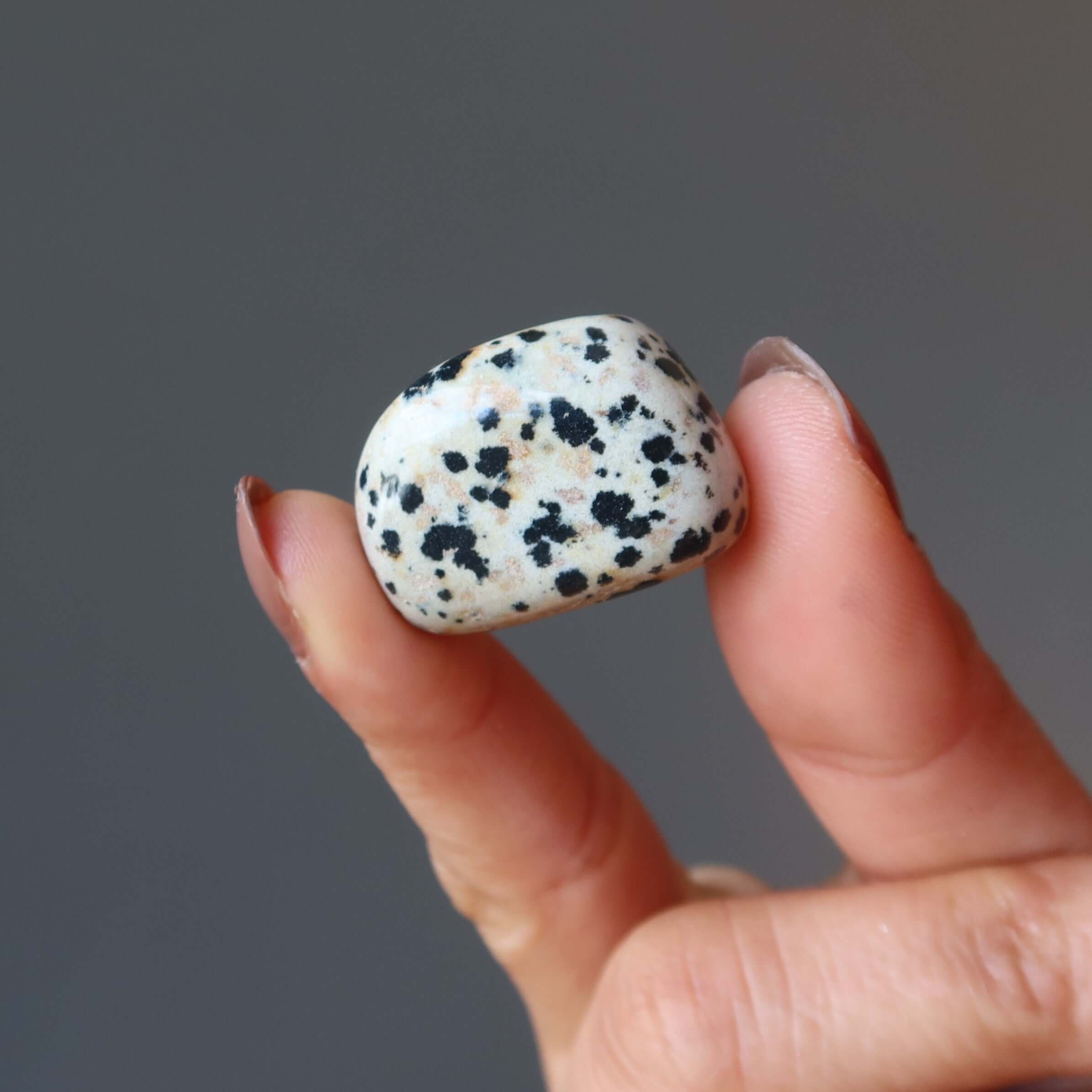 Jaspe Dalmatien Pierre Roulée Mon Pierre de Compagnie