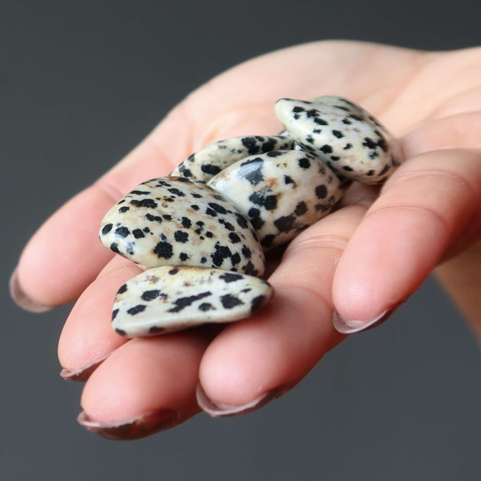 Jaspe Dalmatien Pierre Roulée Mon Pierre de Compagnie